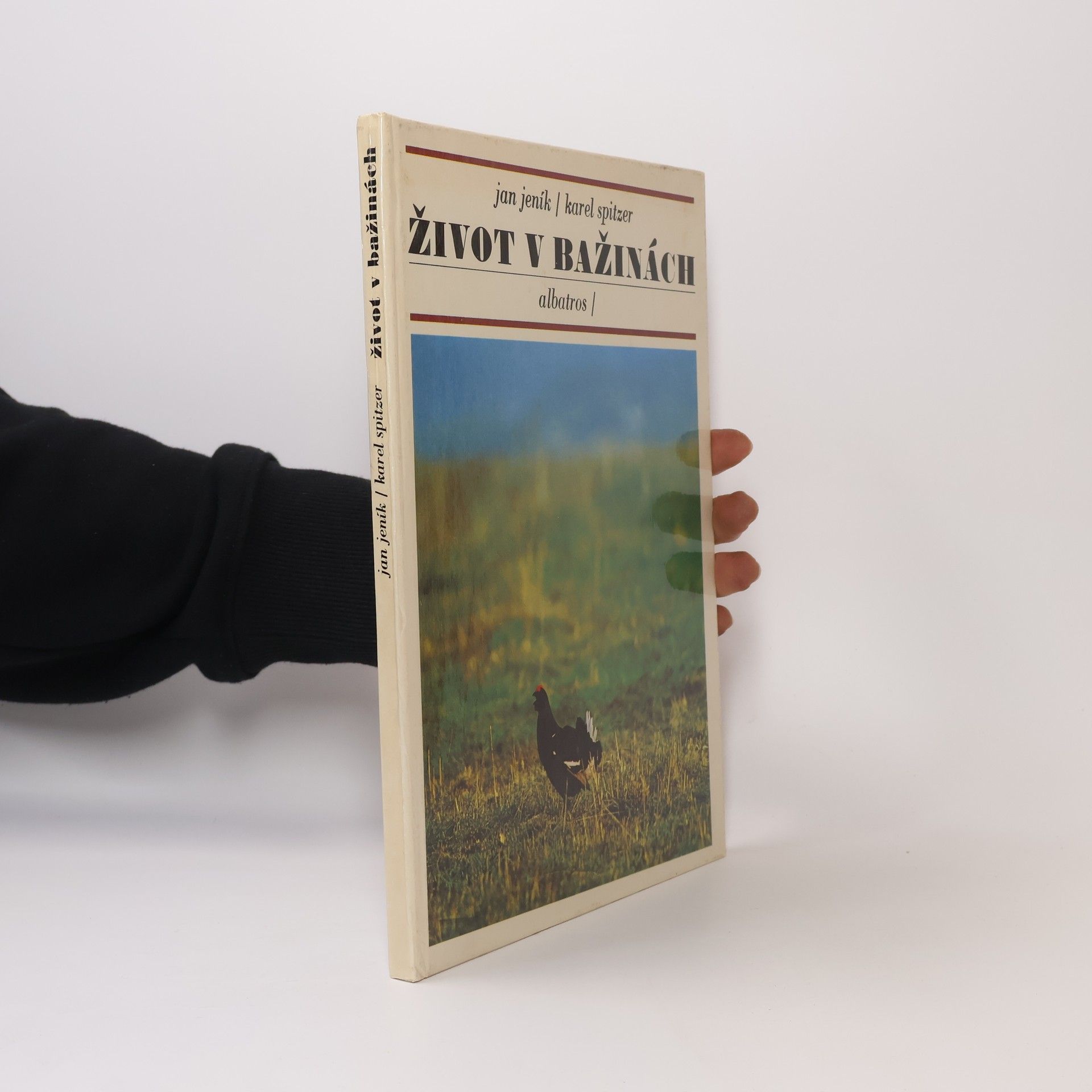 Jan Jeník Život v bažinách