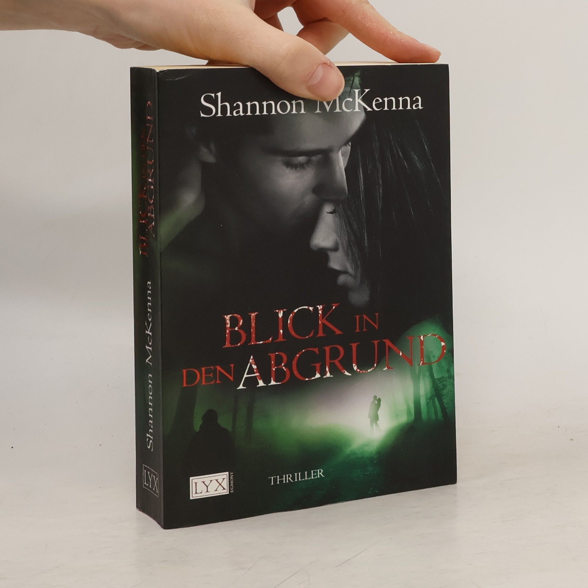 Shannon McKenna Blick in den Abgrund