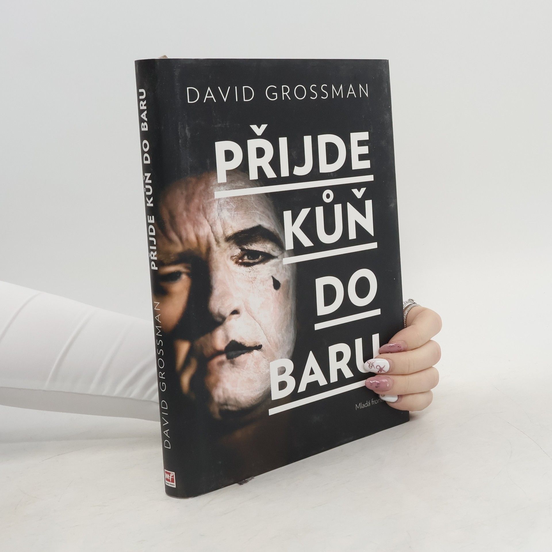 David Grossman Přijde kůň do baru