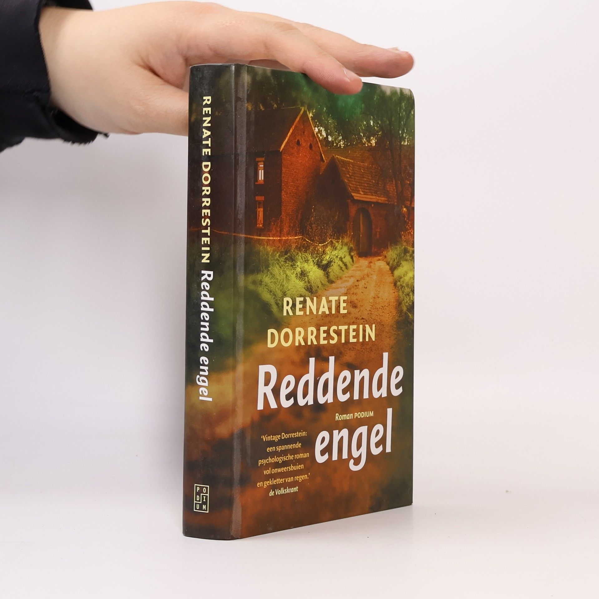 Renate Dorrestein Reddende engel