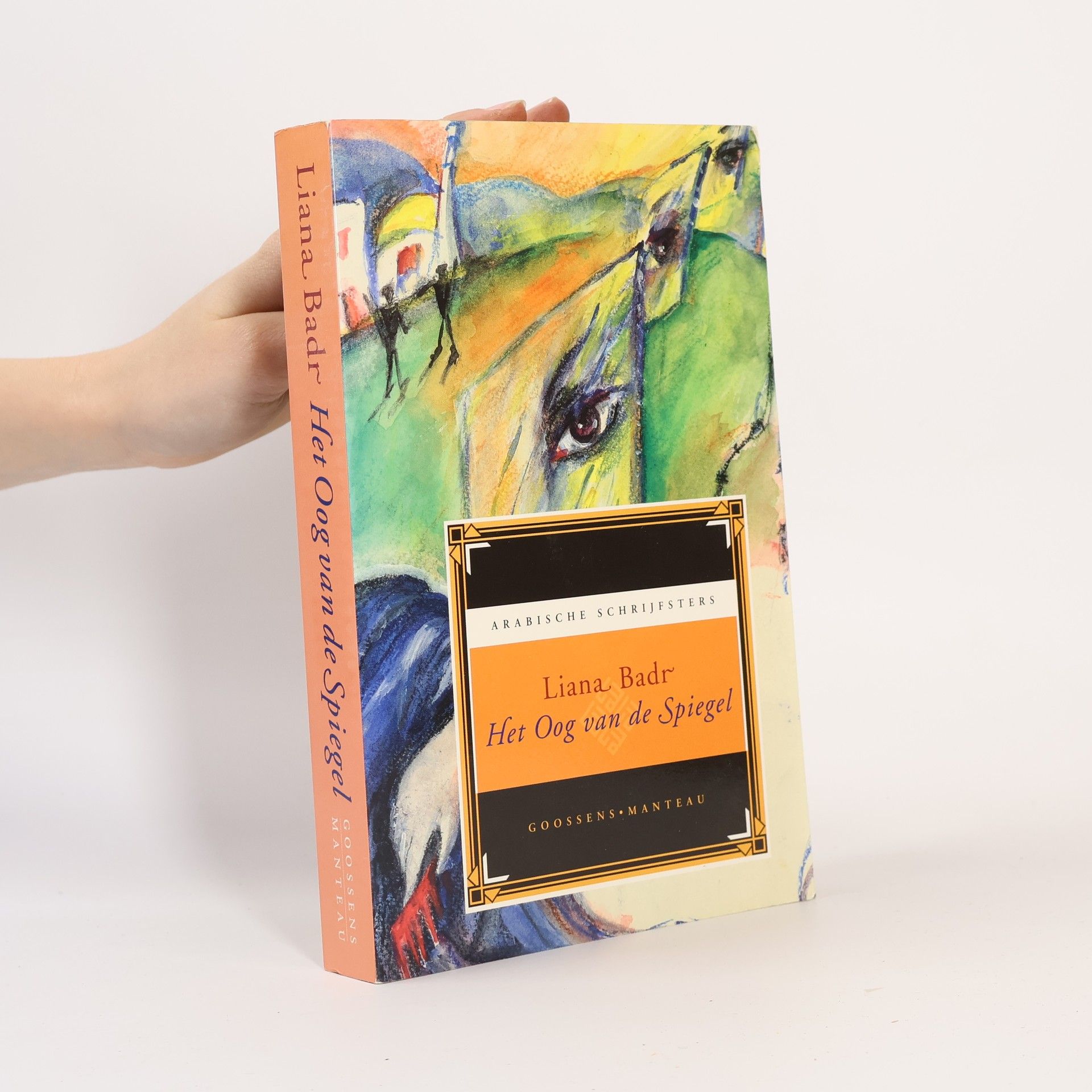 Liana Badr Het Oog van de Spiegel