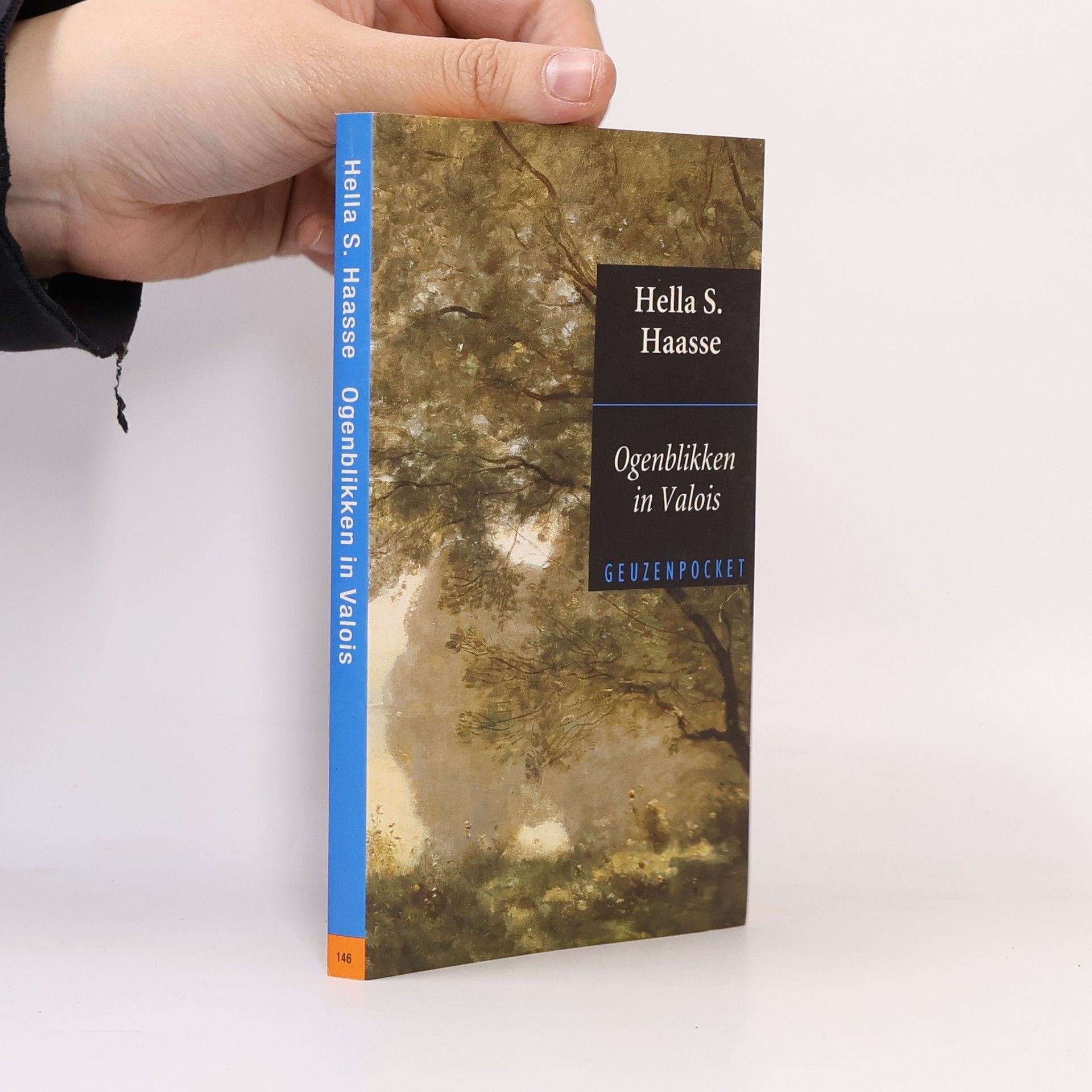 Hella Haasse Geuzenpocket - 146: Ogenblikken in Valois