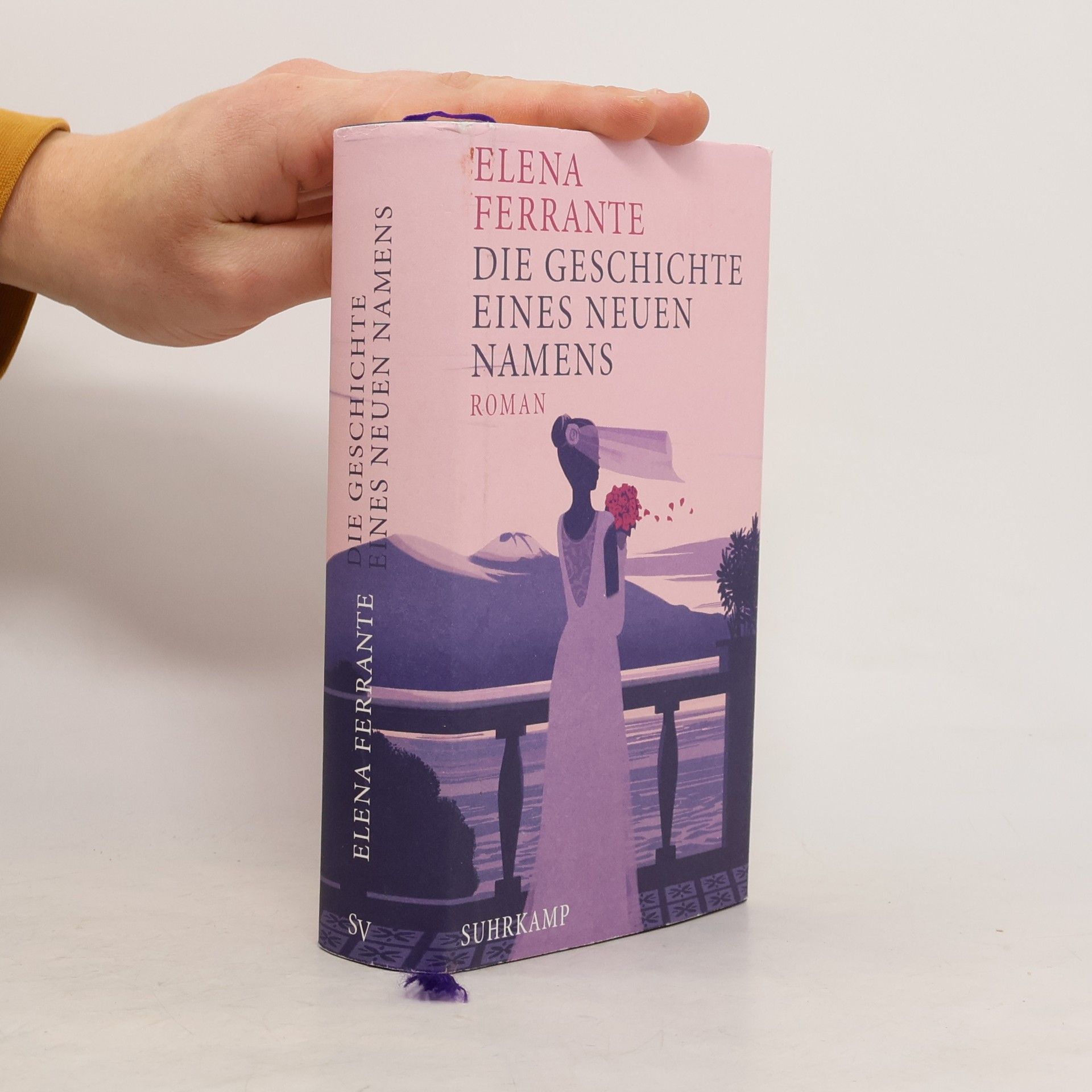 Elena Ferrante Die Geschichte eines neuen Namens: Jugendjahre