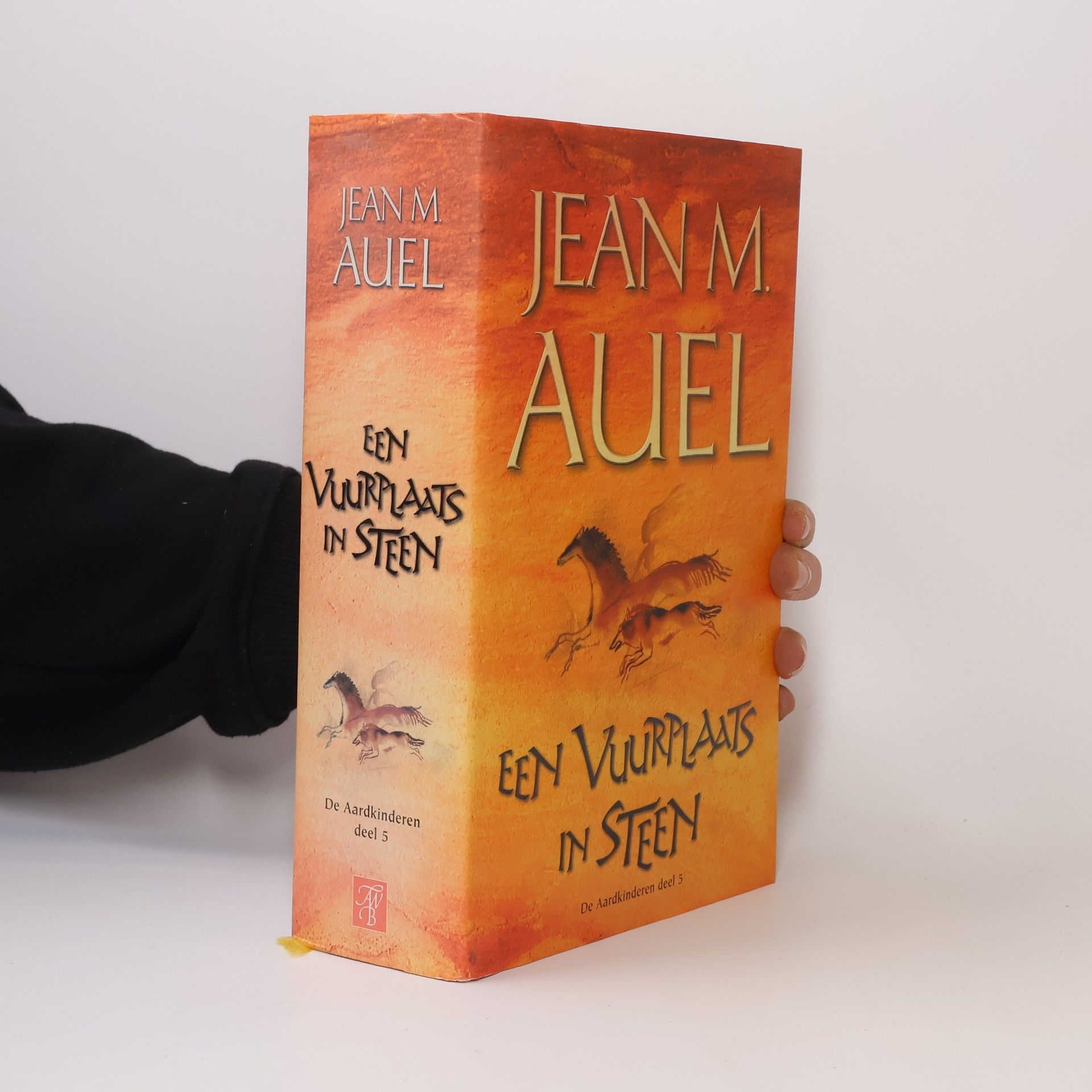 Jean M. Auelová Een vuurplaats in steen