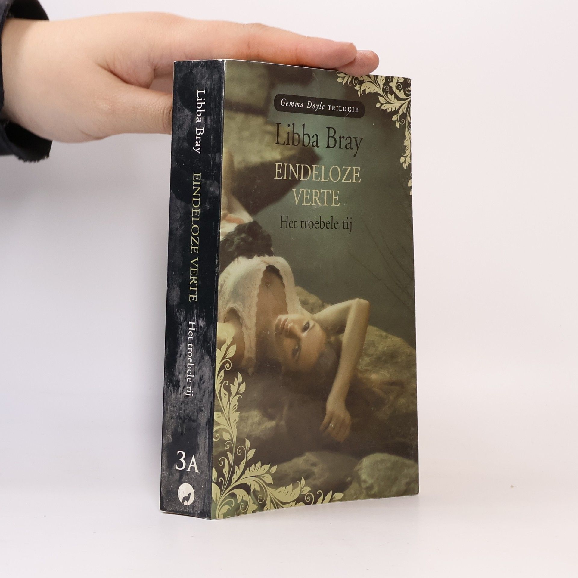 Libba Bray Eindeloze verte