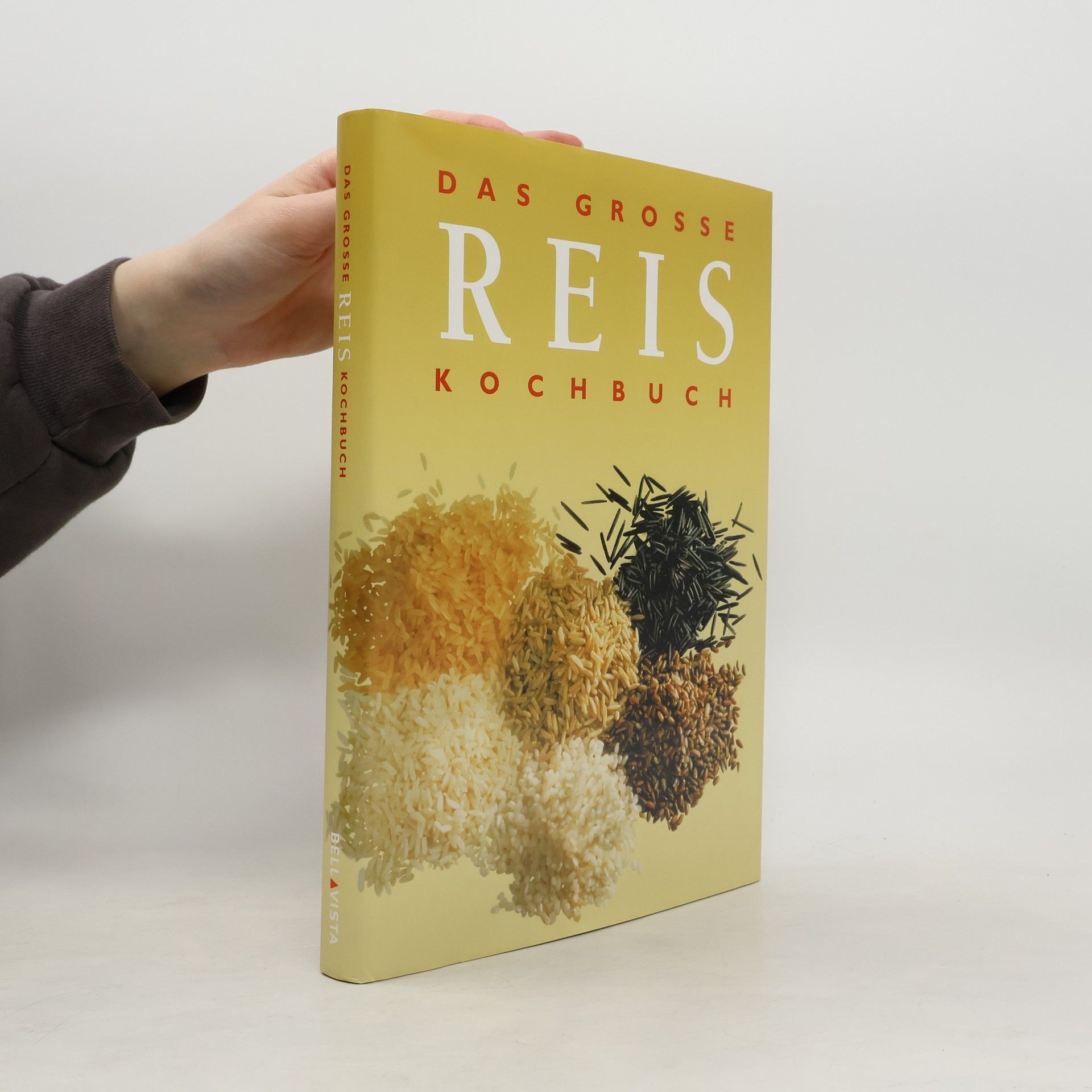 Daniel Hoch Das grosse Reis-Kochbuch