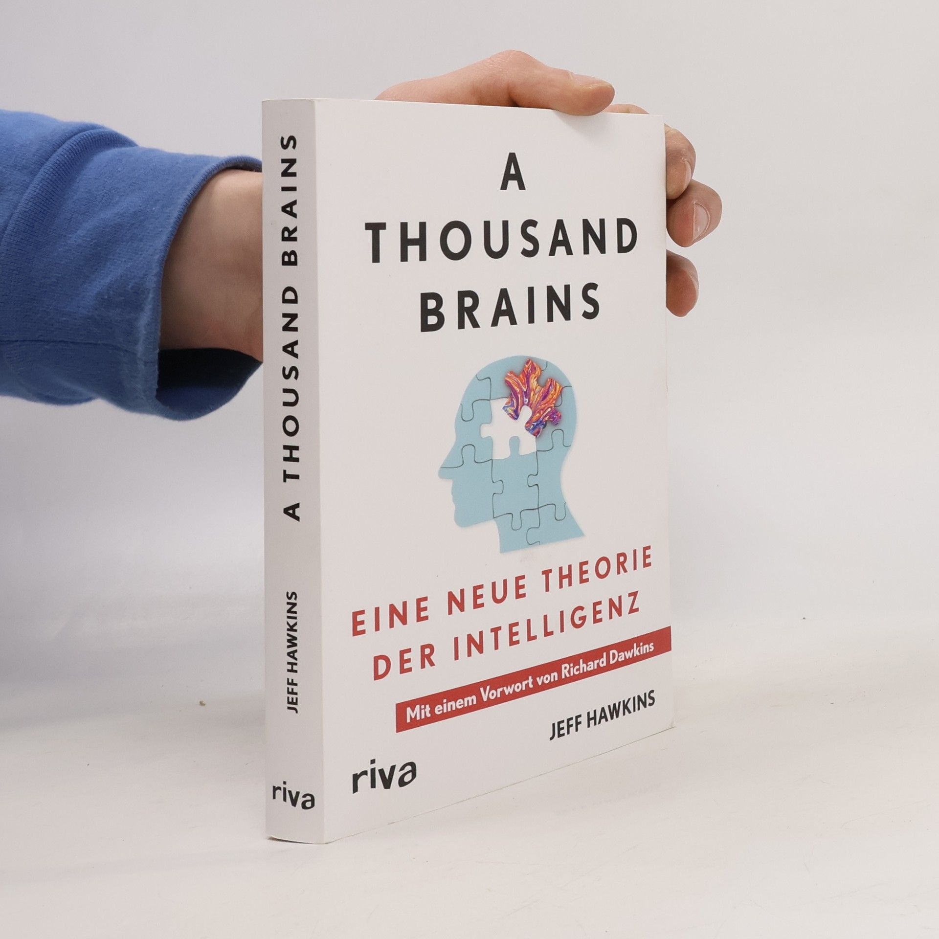 A Thousand Brains