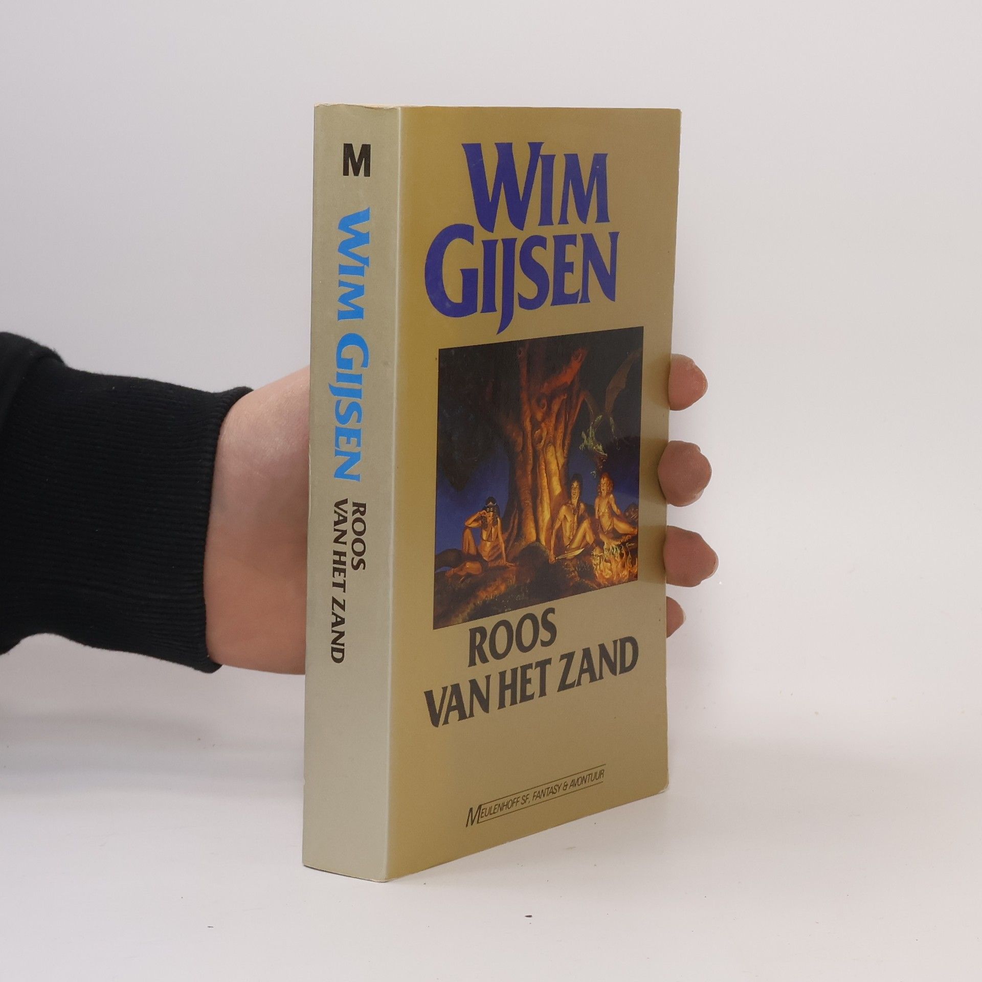 Wim Gijsen Roos van het zand