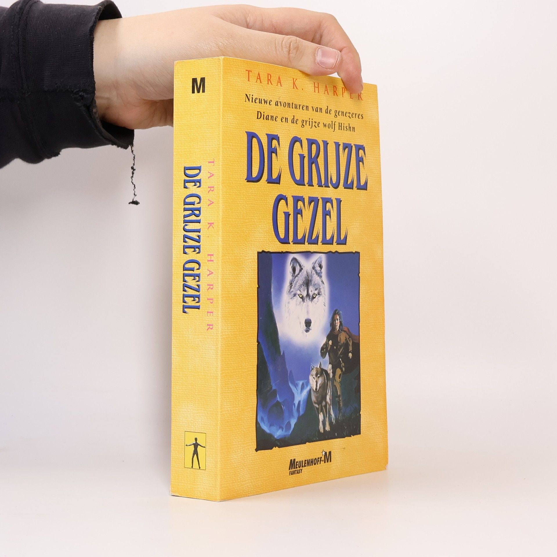 Tara K. Harper De grijze gezel