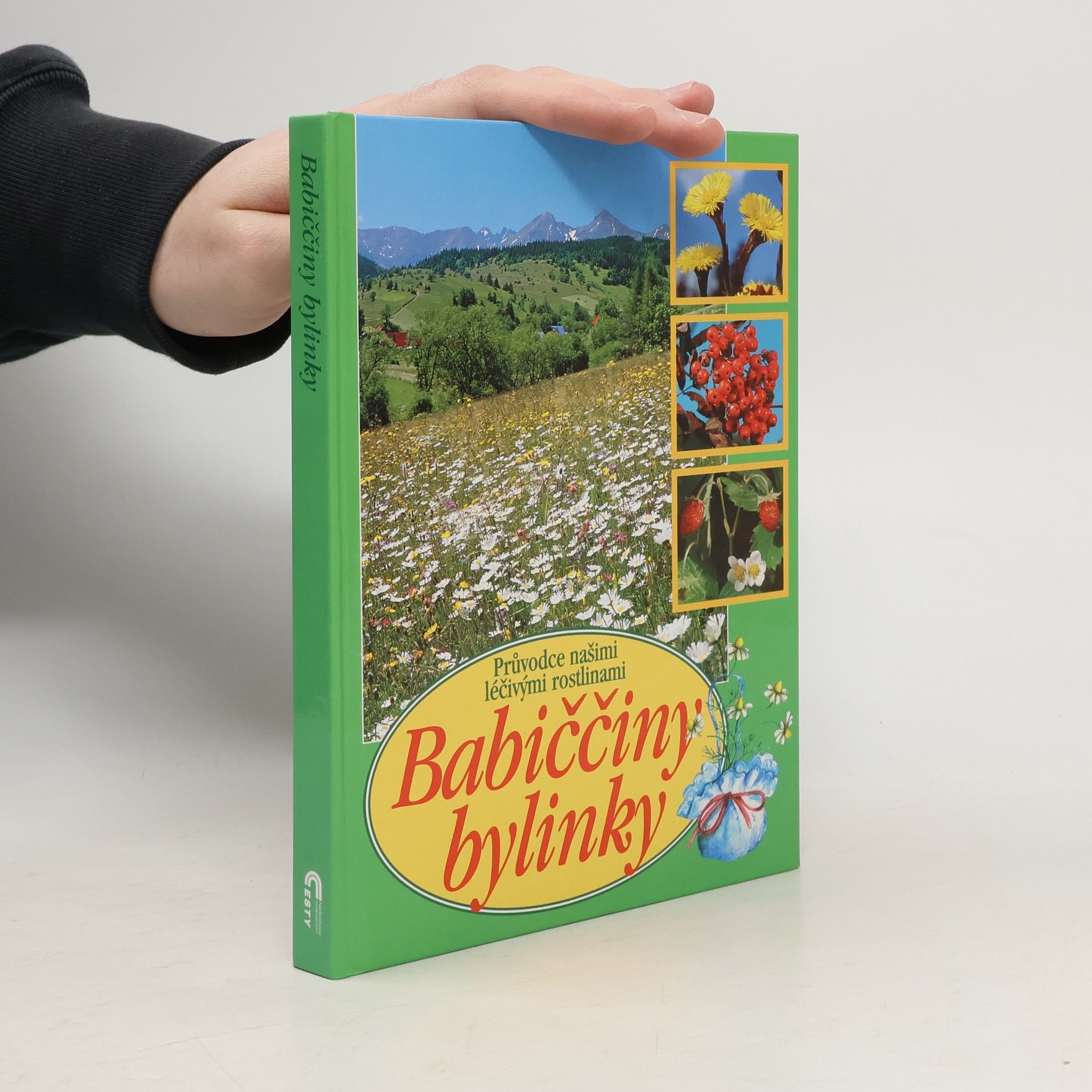 Babiččiny bylinky: Průvodce našimi léčivými rostlinami