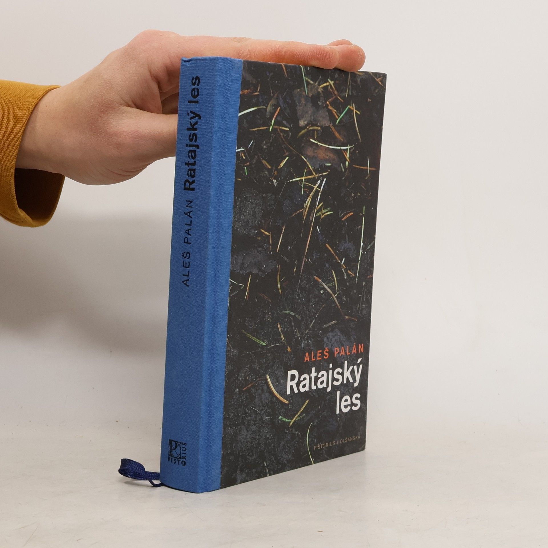 Aleš Palán Ratajský les