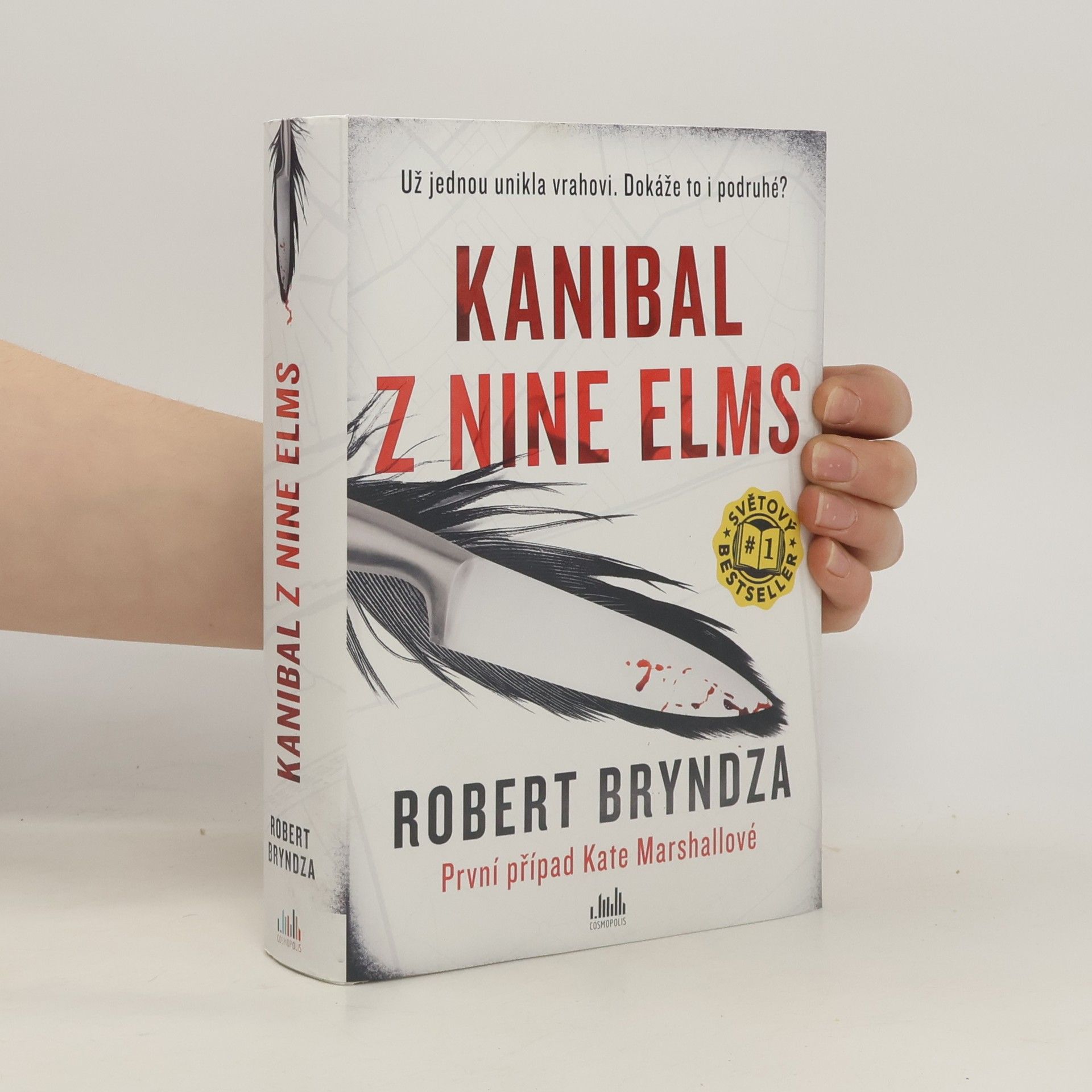 Robert Bryndza Kanibal z Nine Elms