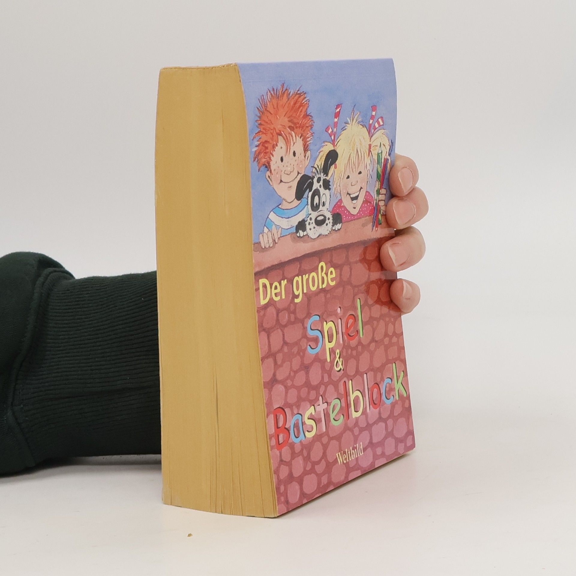 Martin Stiefenhofer Der große Spiel & Bastelblock