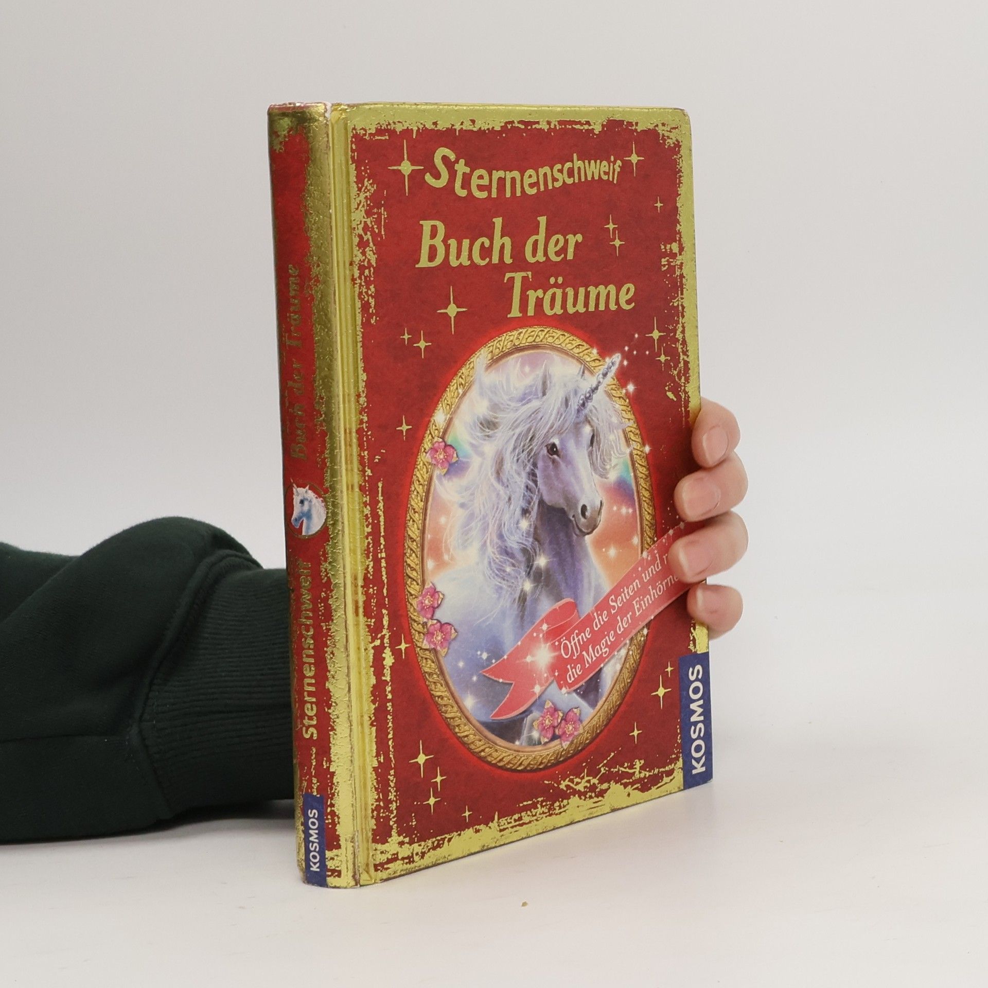 Linda Chapman Sternenschweif - Buch der Träume