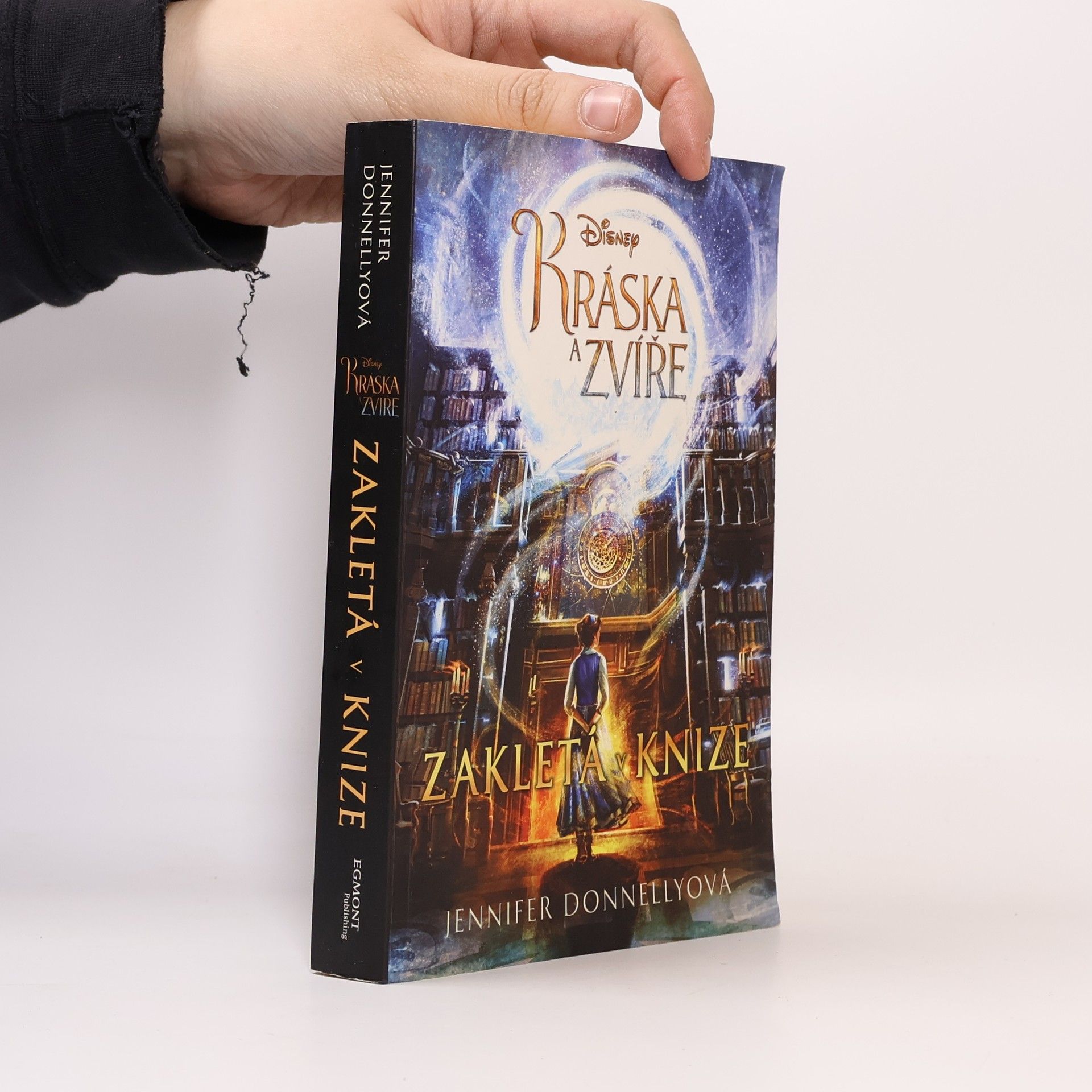 Jennifer Donnelly Kráska a zvíře: Zakletá v knize