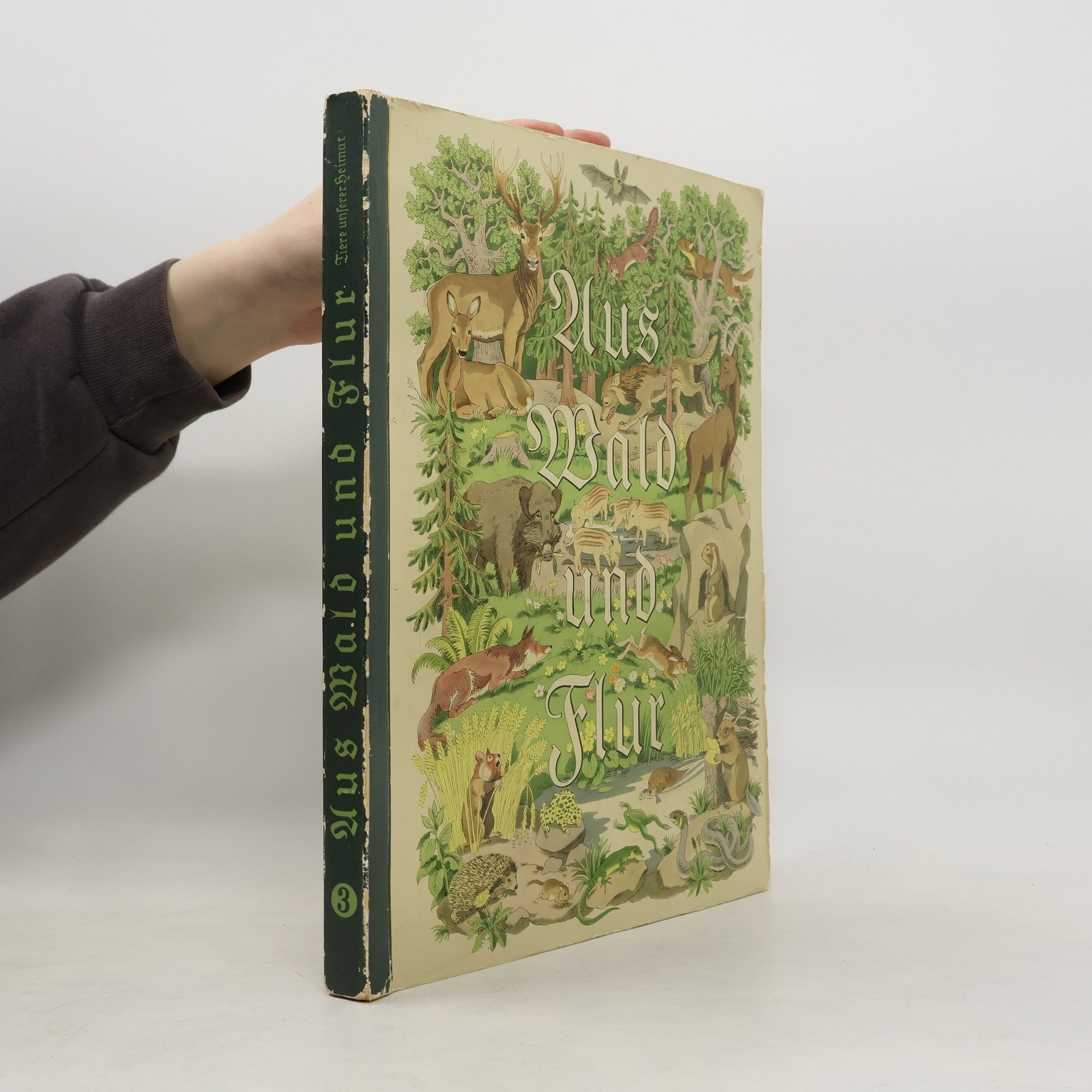Collectif d'auteurs Aus Wald und Flur
