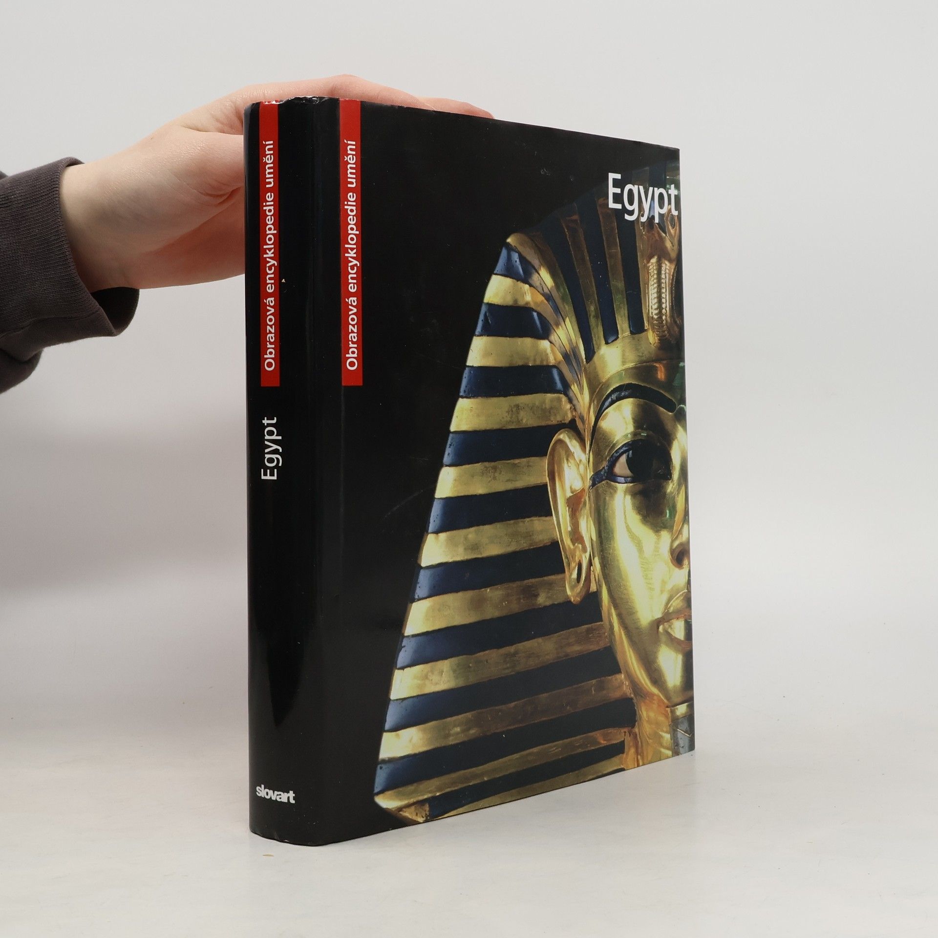 Alice Cartocci Egypt. Obrazová encyklopedie umění