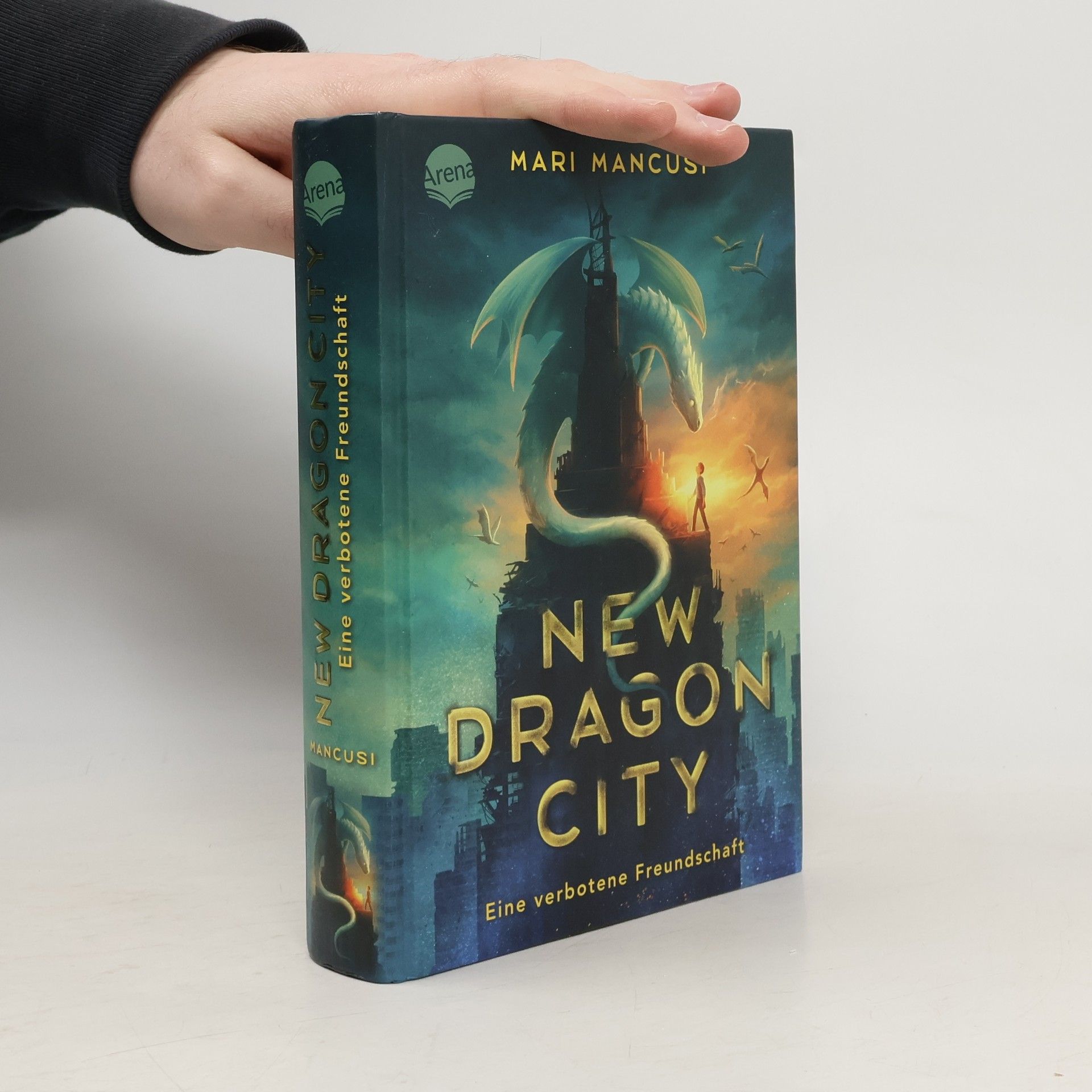 Mari Mancusi New Dragon City - eine verbotene Freundschaft