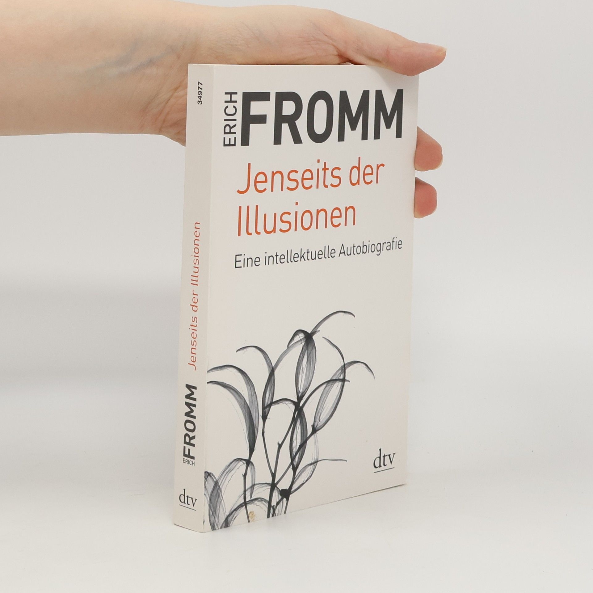 Erich Fromm Jenseits der Illusionen