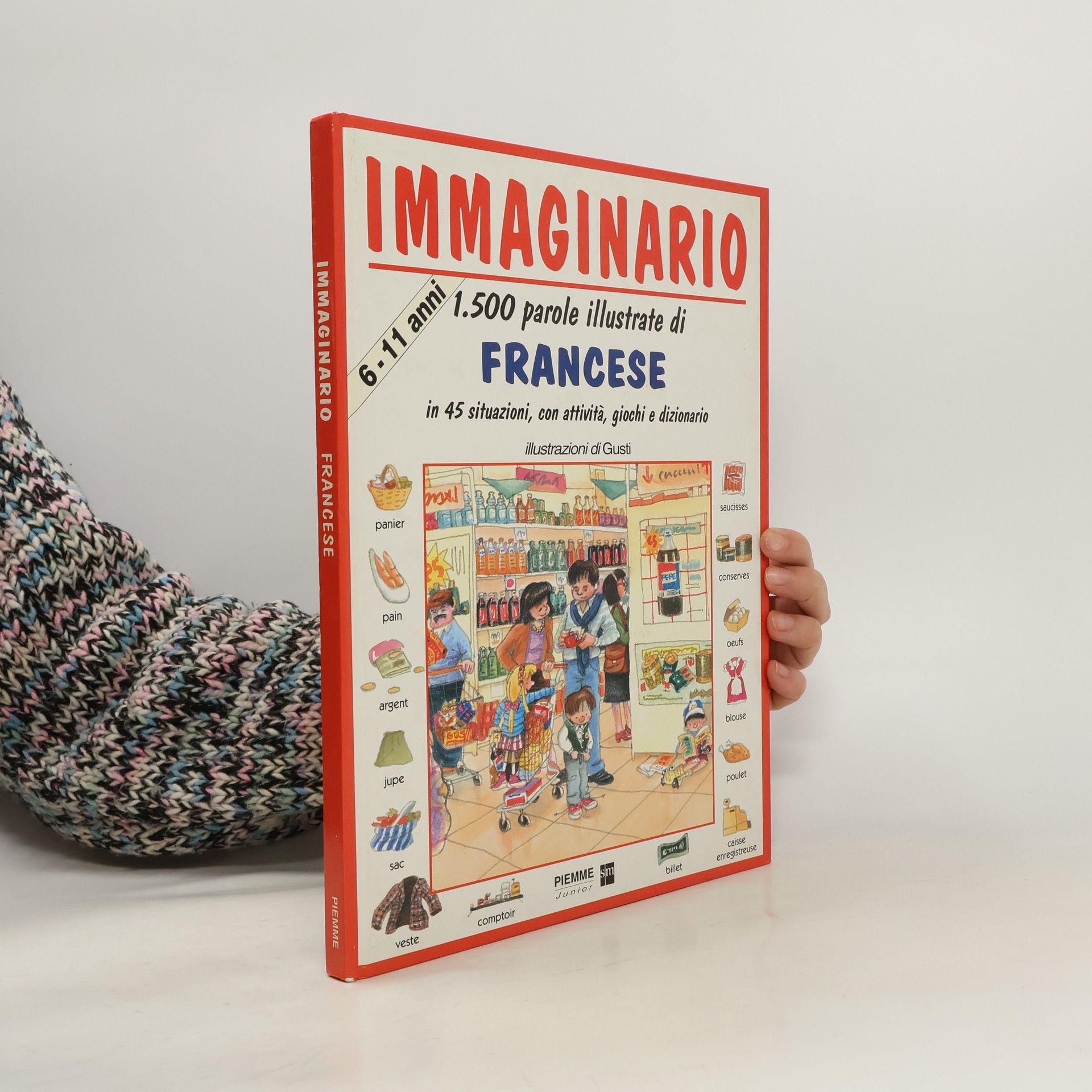 Gusti Immaginario. 1500 parole illustrate in 45 situazioni, con attività, giochi e dizionario di francese