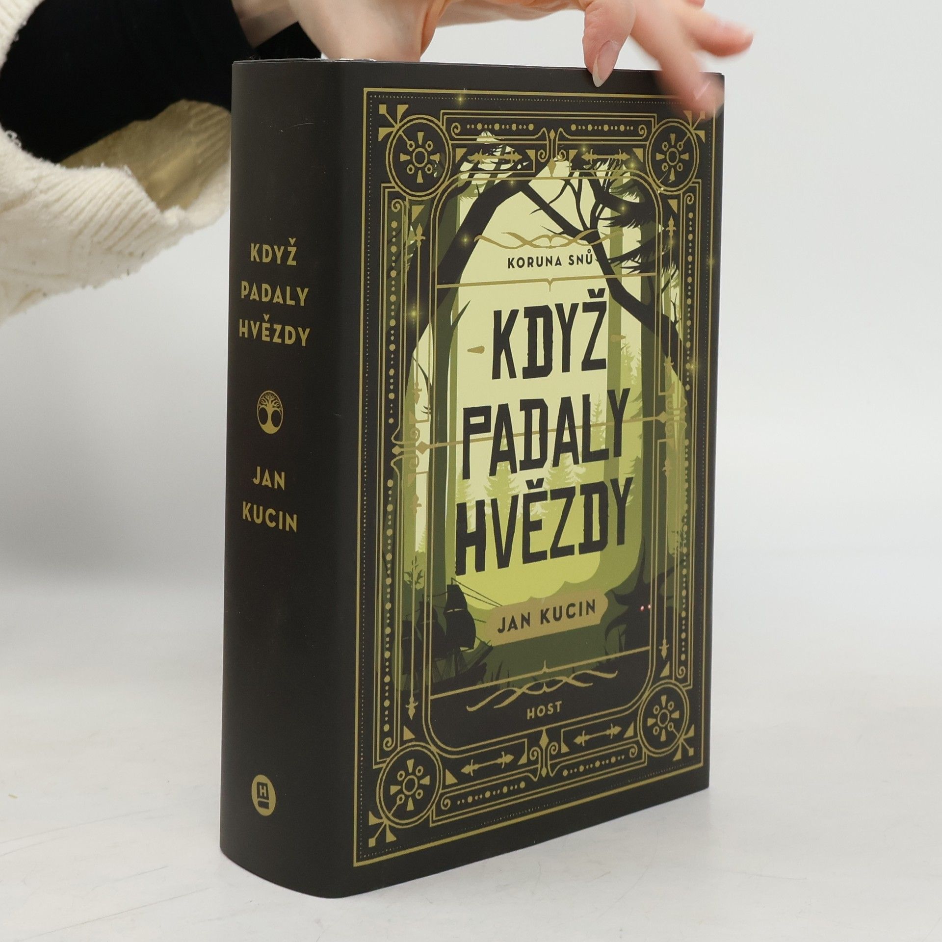 Jan Kucin Koruna snů. Když padaly hvězdy