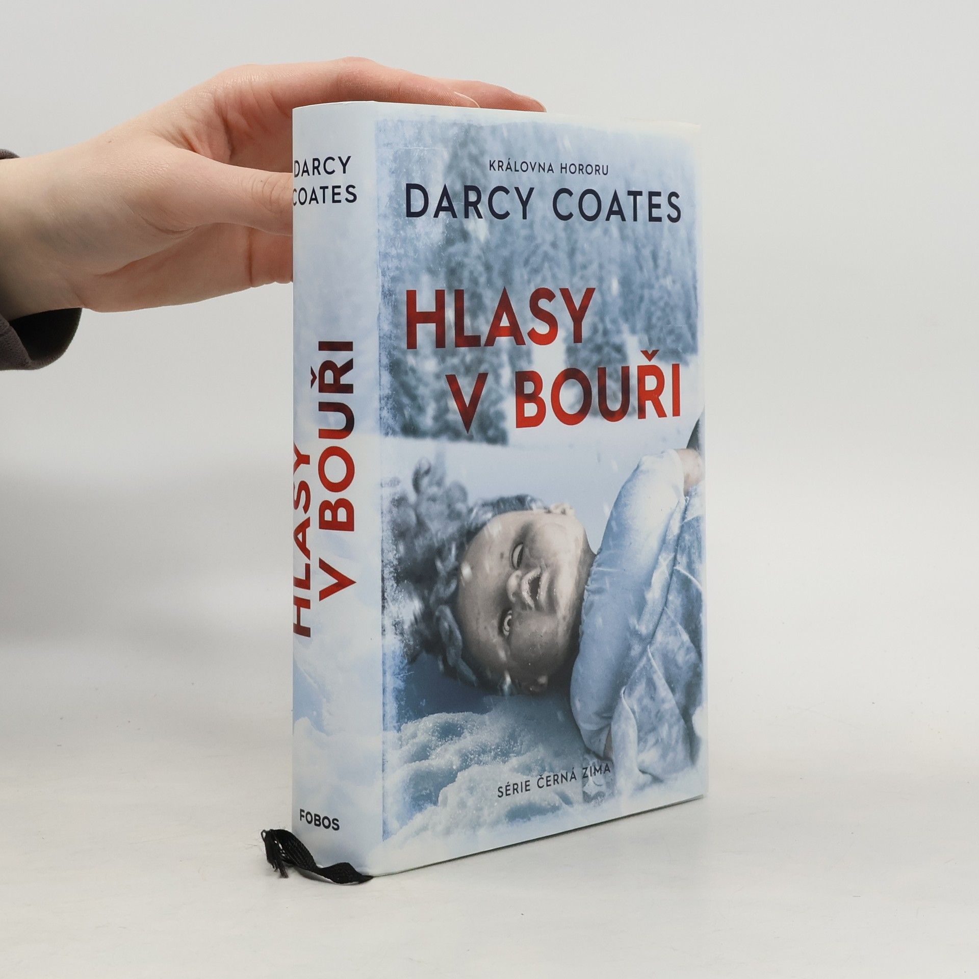 Darcy Coates Hlasy v bouři