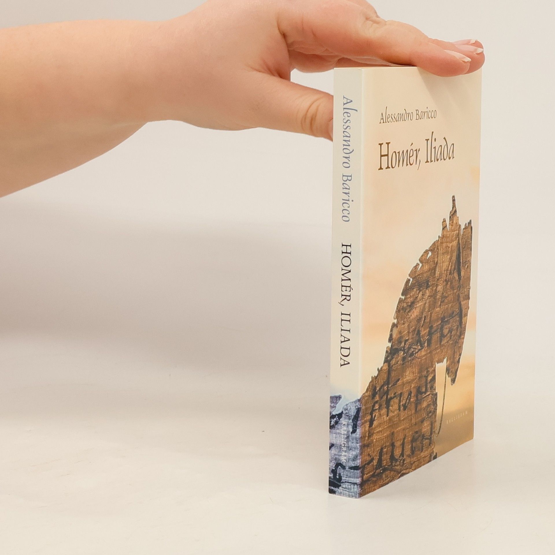 Alessandro Baricco Homér, Iliada