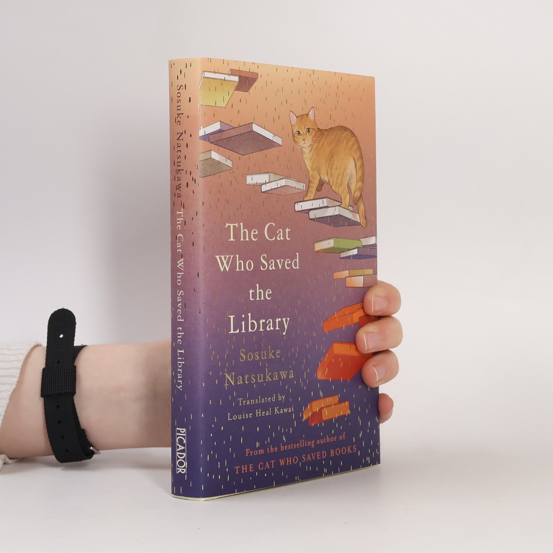 Sōsuke Natsukawa The Cat Who Saved the Library