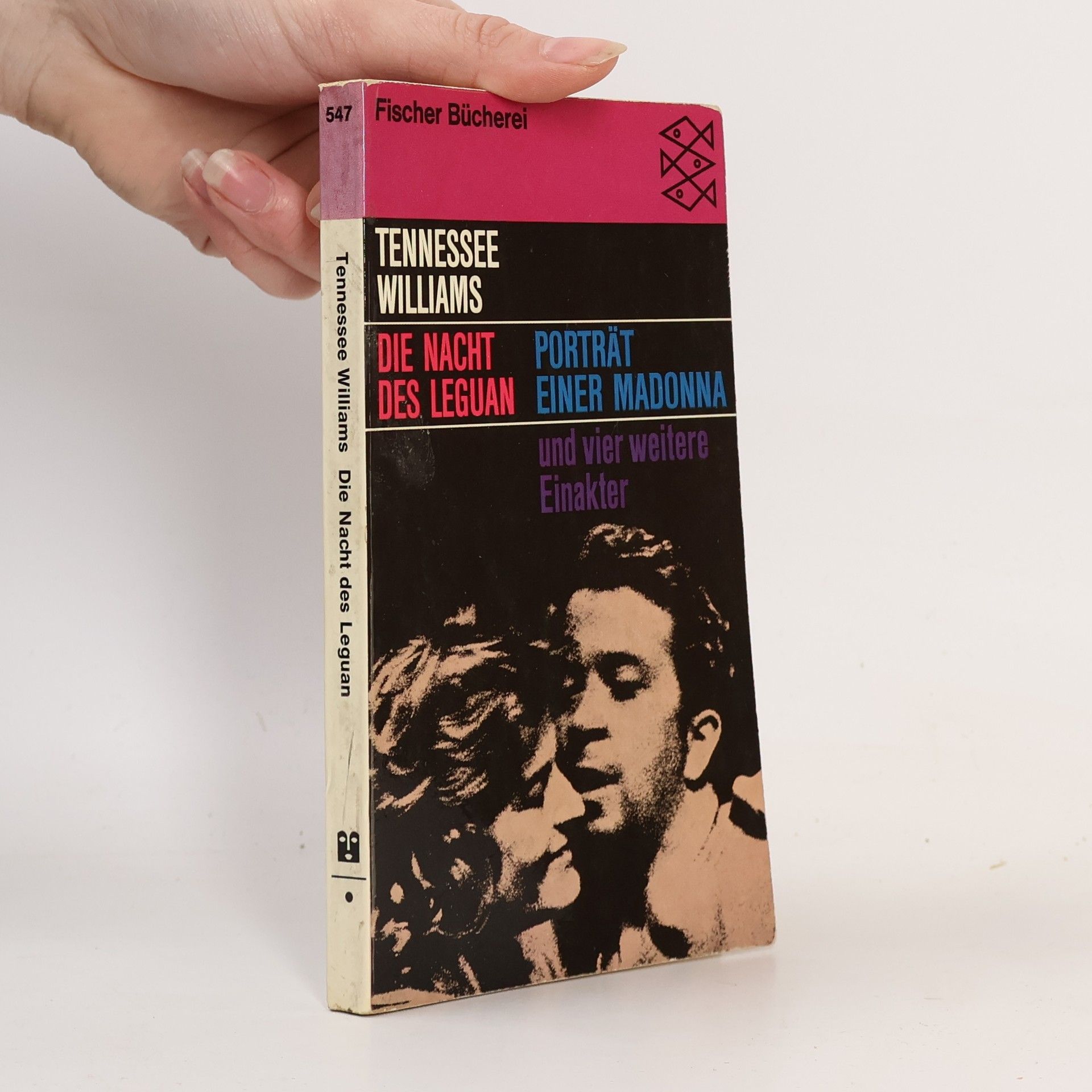 Tennessee Williams Die Nacht des Leguan. Porträt einer Madonna