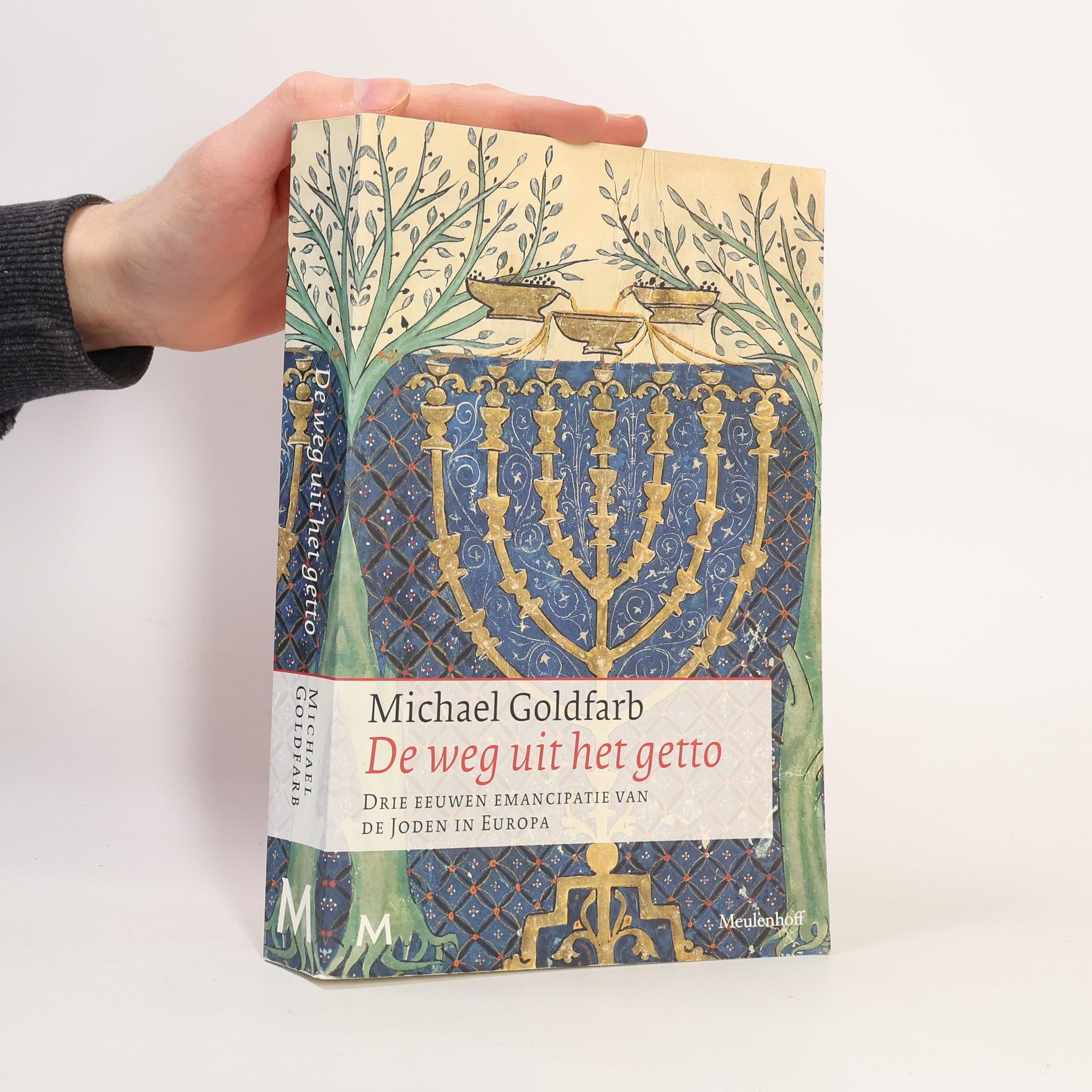 Michael Goldfarb De weg uit het getto