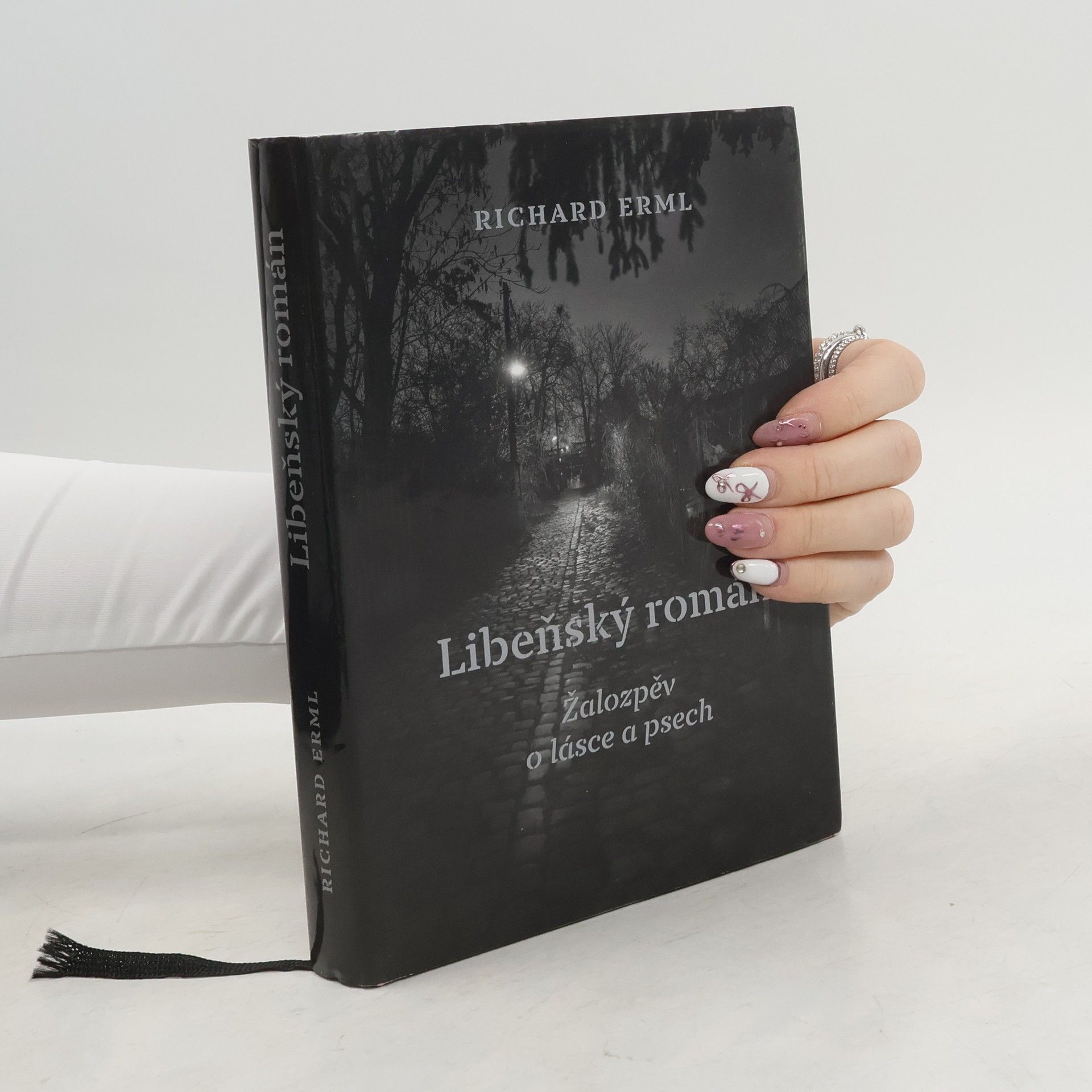 Richard Erml Libeňský román