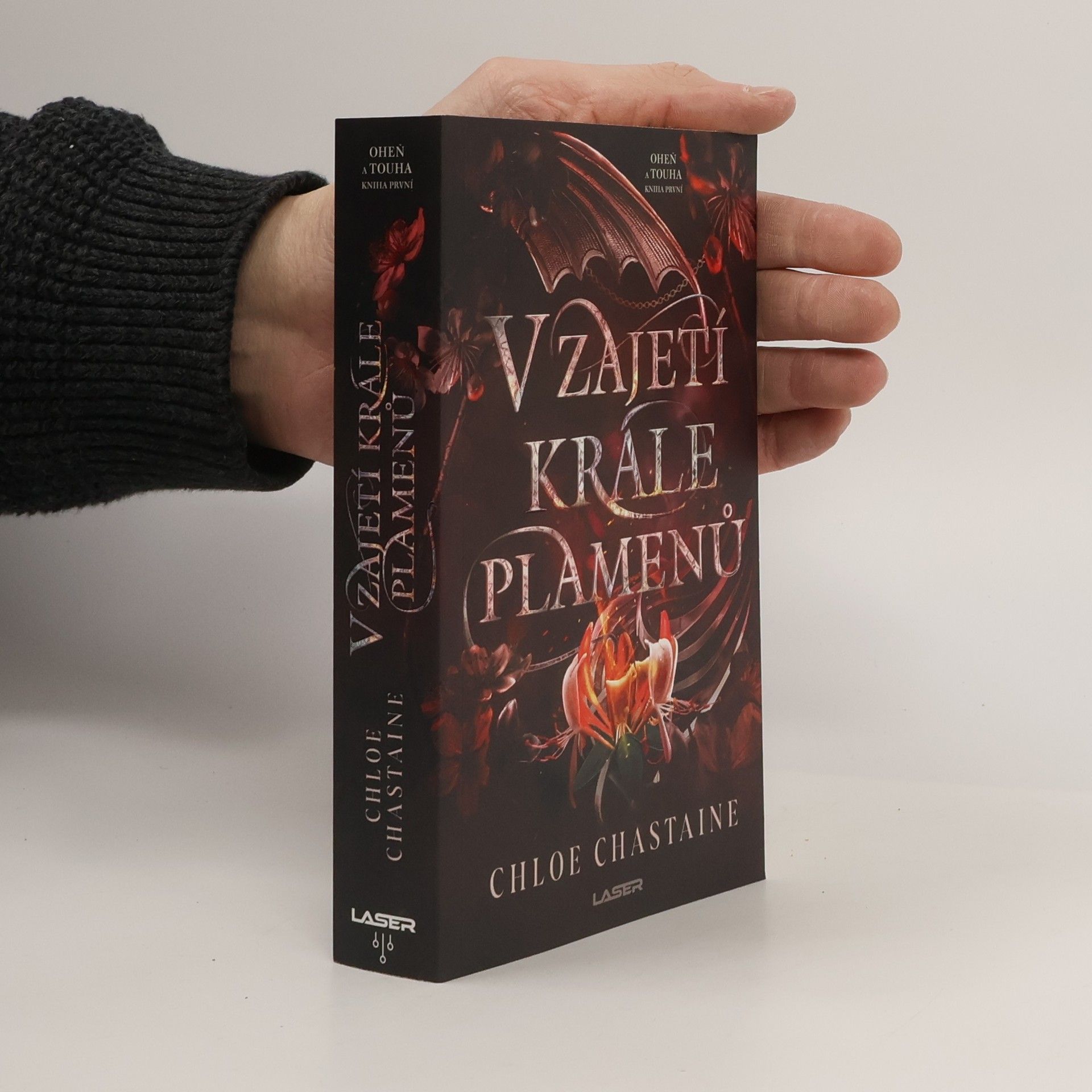 Chloe Chastaine V zajetí krále plamenů