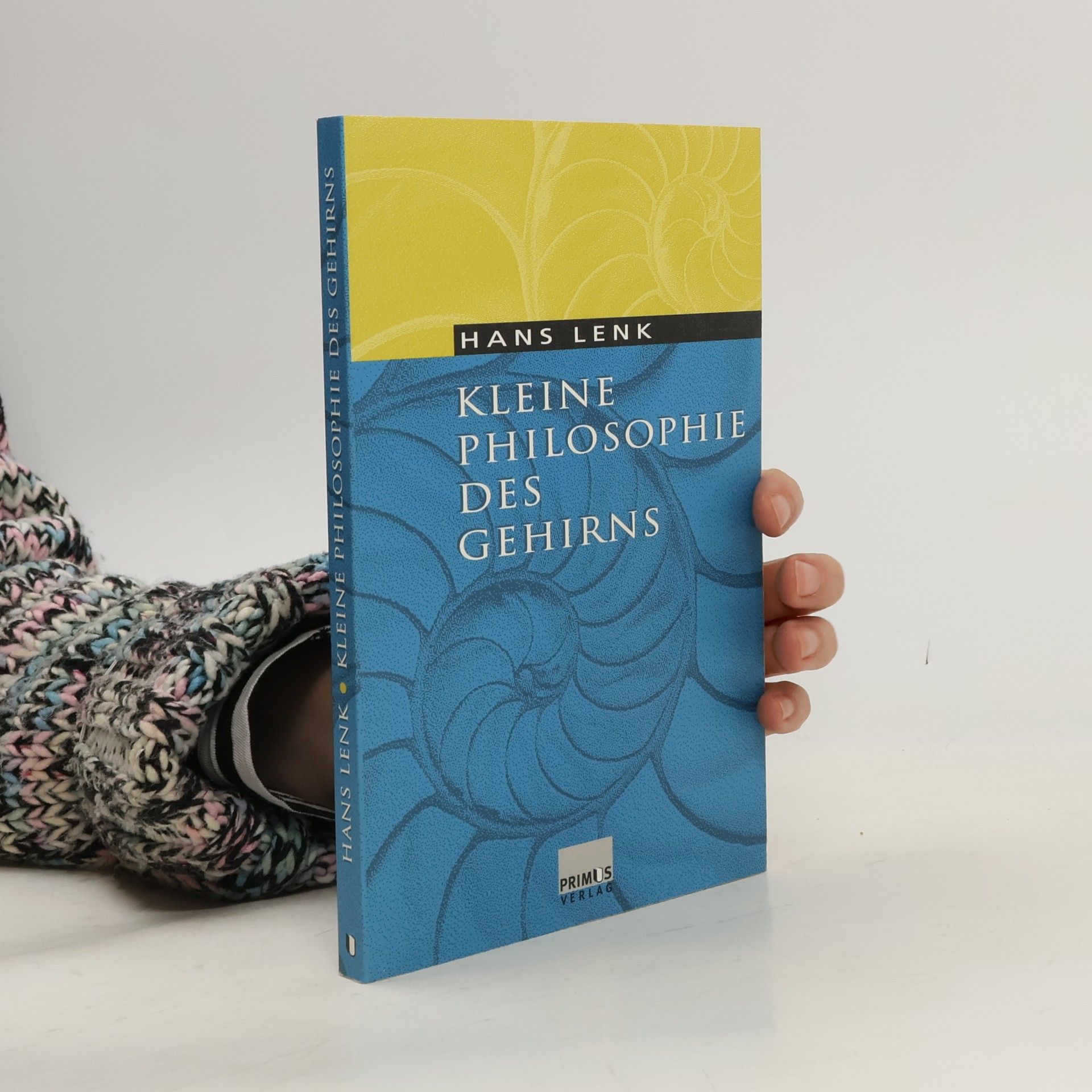 Hans Lenk Kleine Philosophie des Gehirns