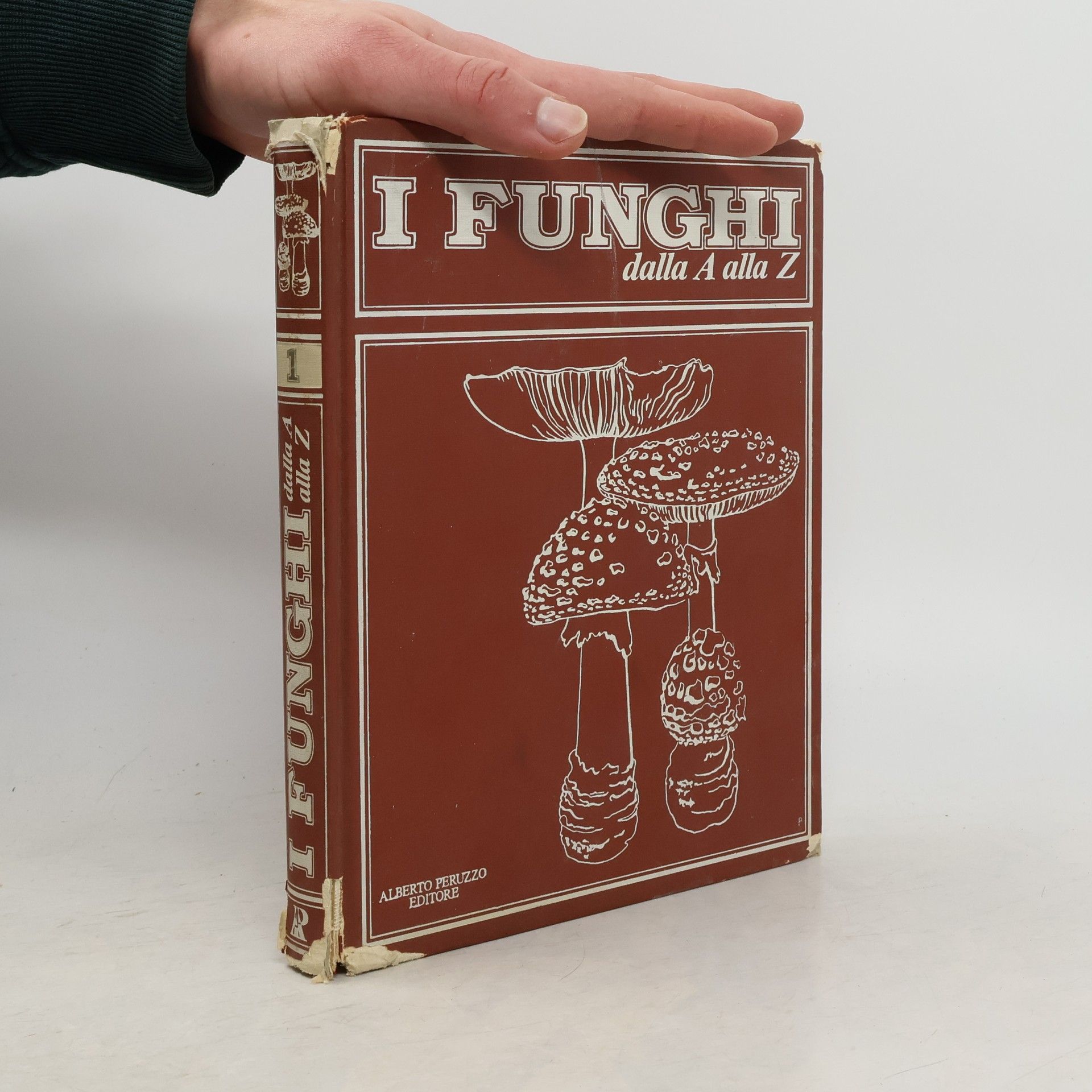 Various authors I funghi dalla A alla Z 1