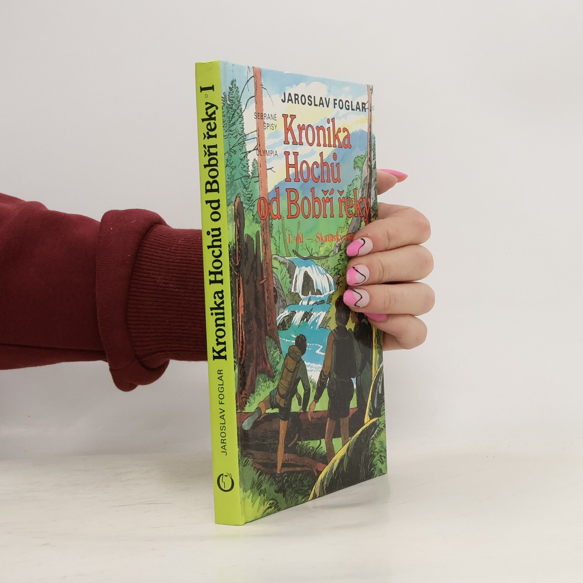 Kronika Hochů od Bobří řeky. Díl 1. Skautský rok