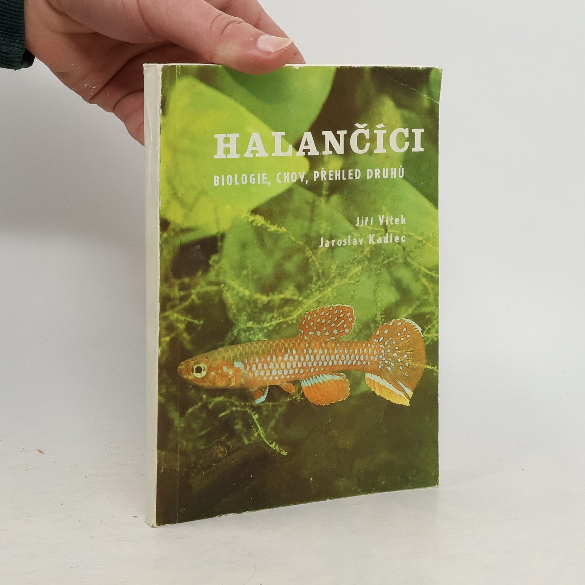 Jiří Vítek Halančíci. Biologie, chov, přehled druhů