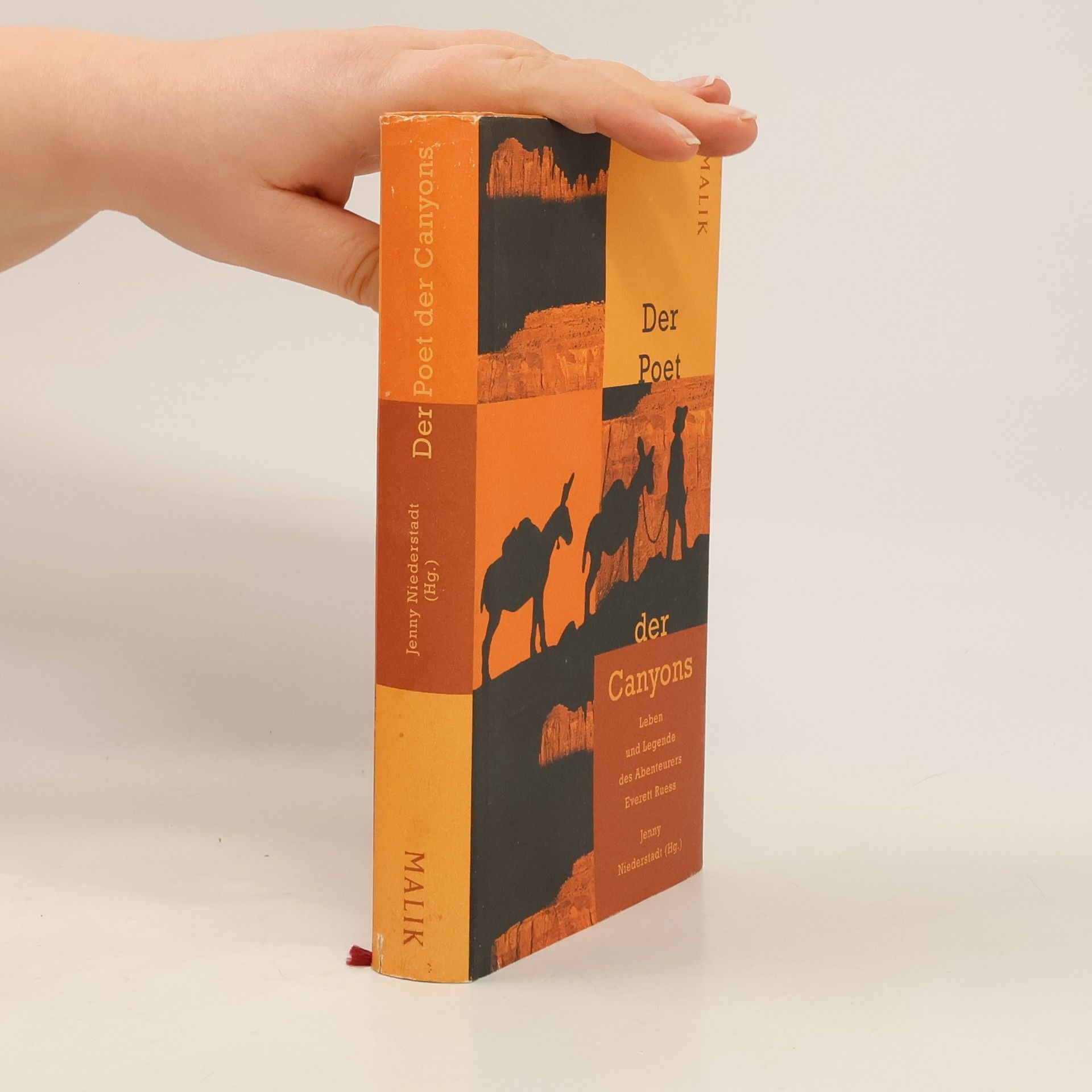 Everett Ruess Der Poet der Canyons