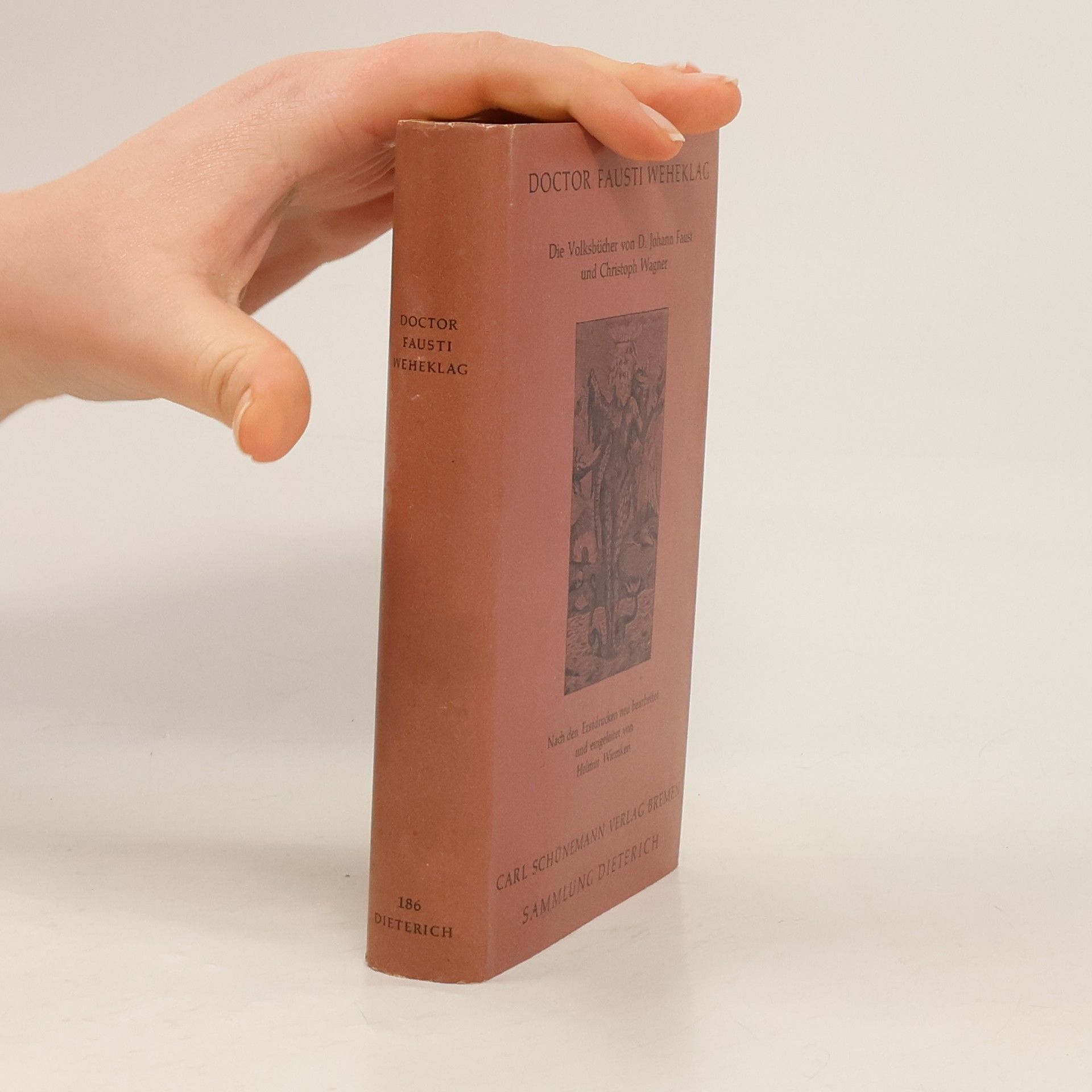 Kolektiv autorů Die Volksbücher von D. Johann Faust und Christoph Wagner