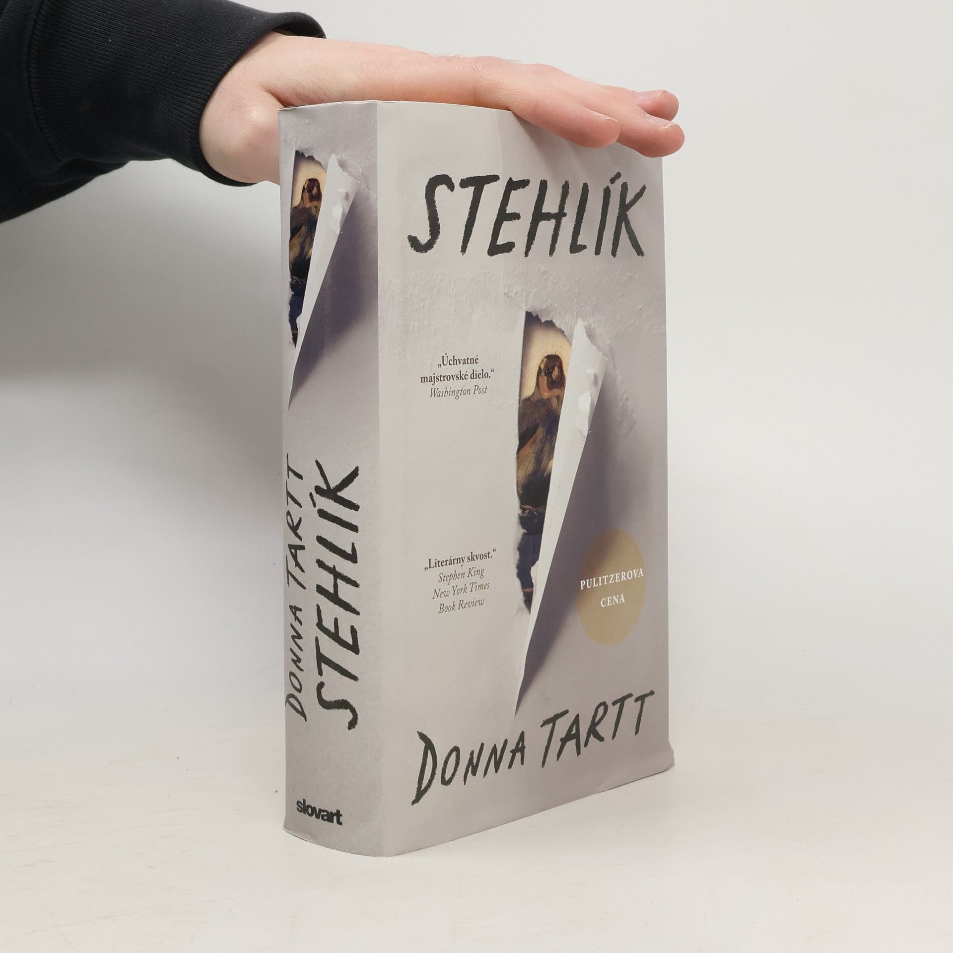 Donna Tartt Stehlík