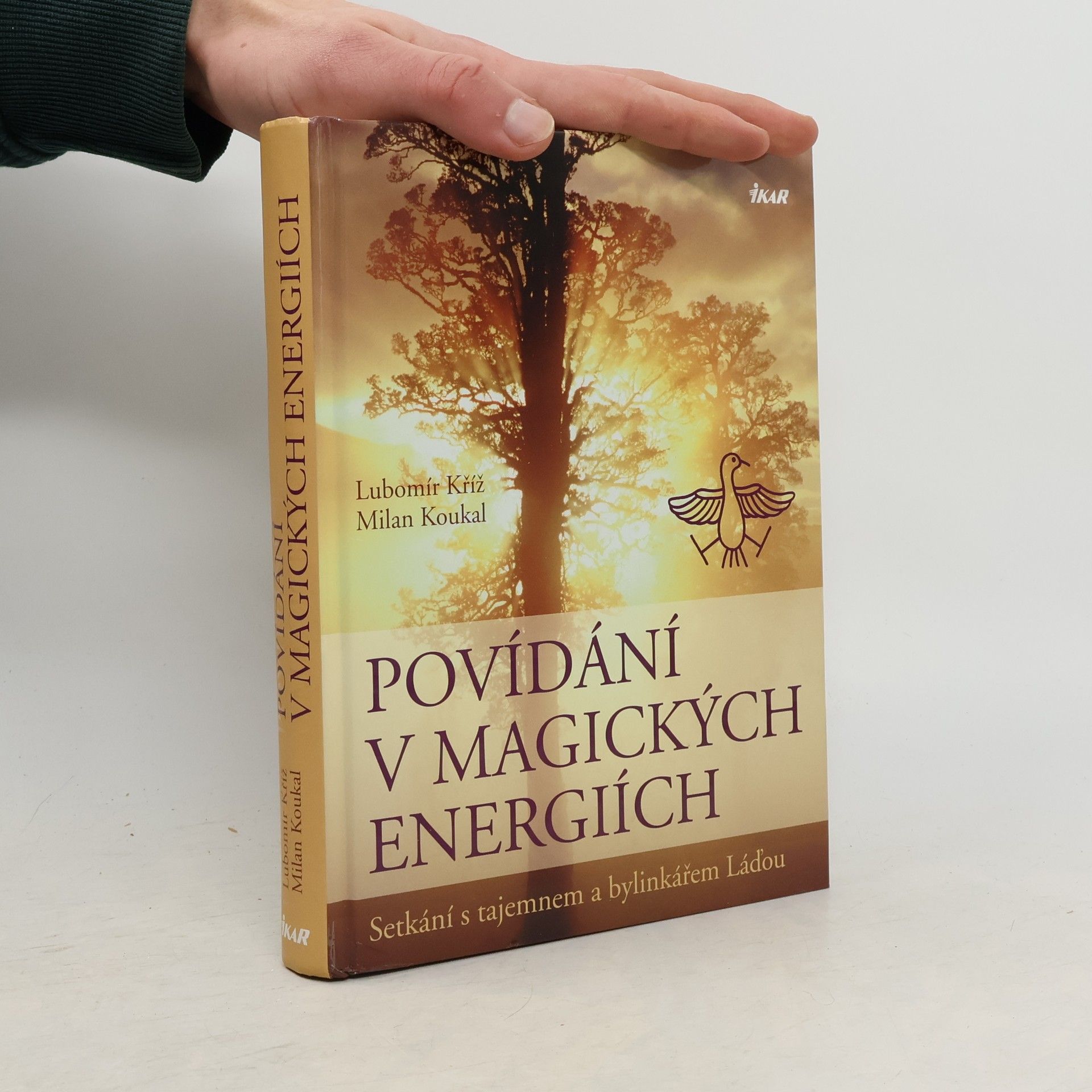 Lubomír Kříž Povídání v magických energiích