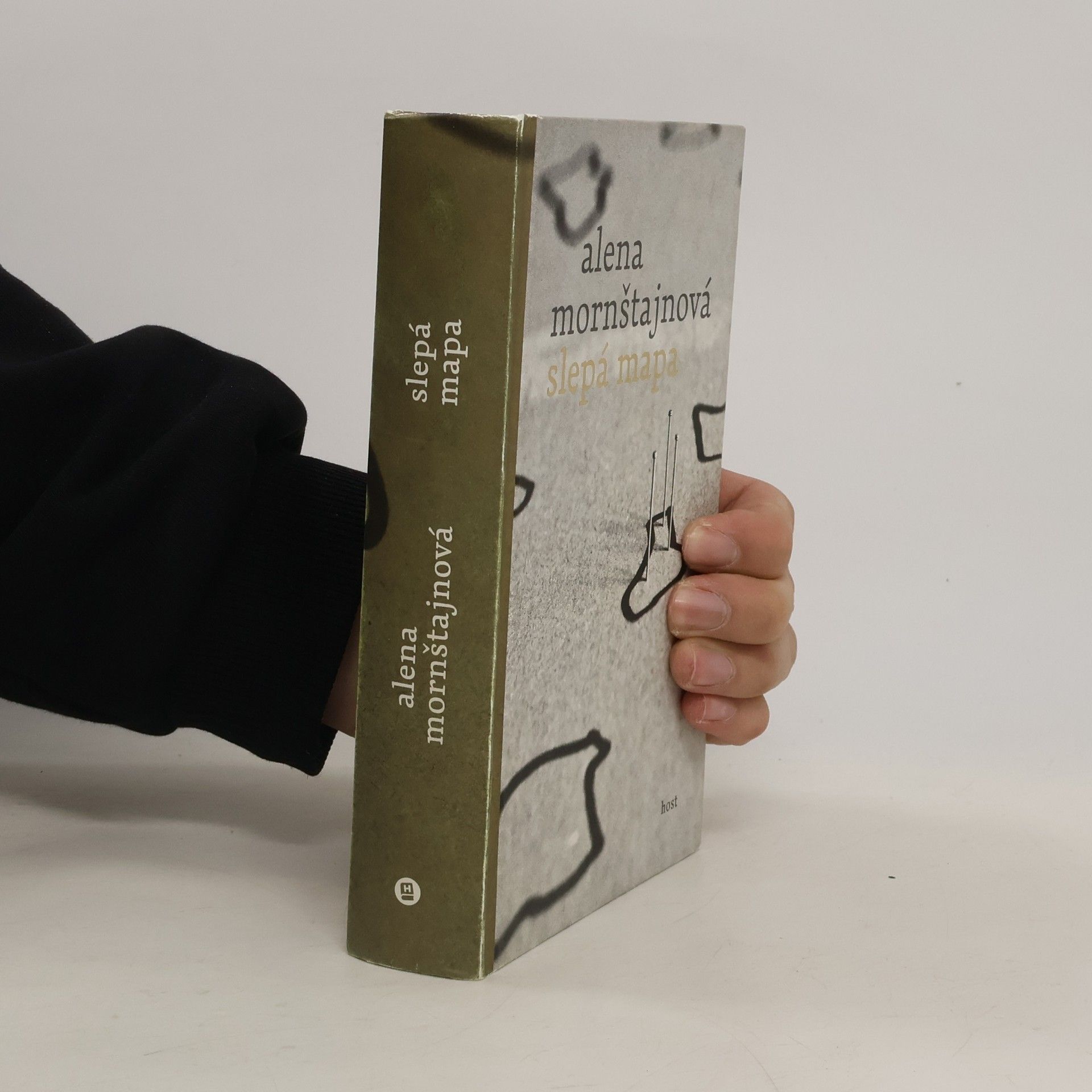 Alena Mornštajnová Slepá mapa