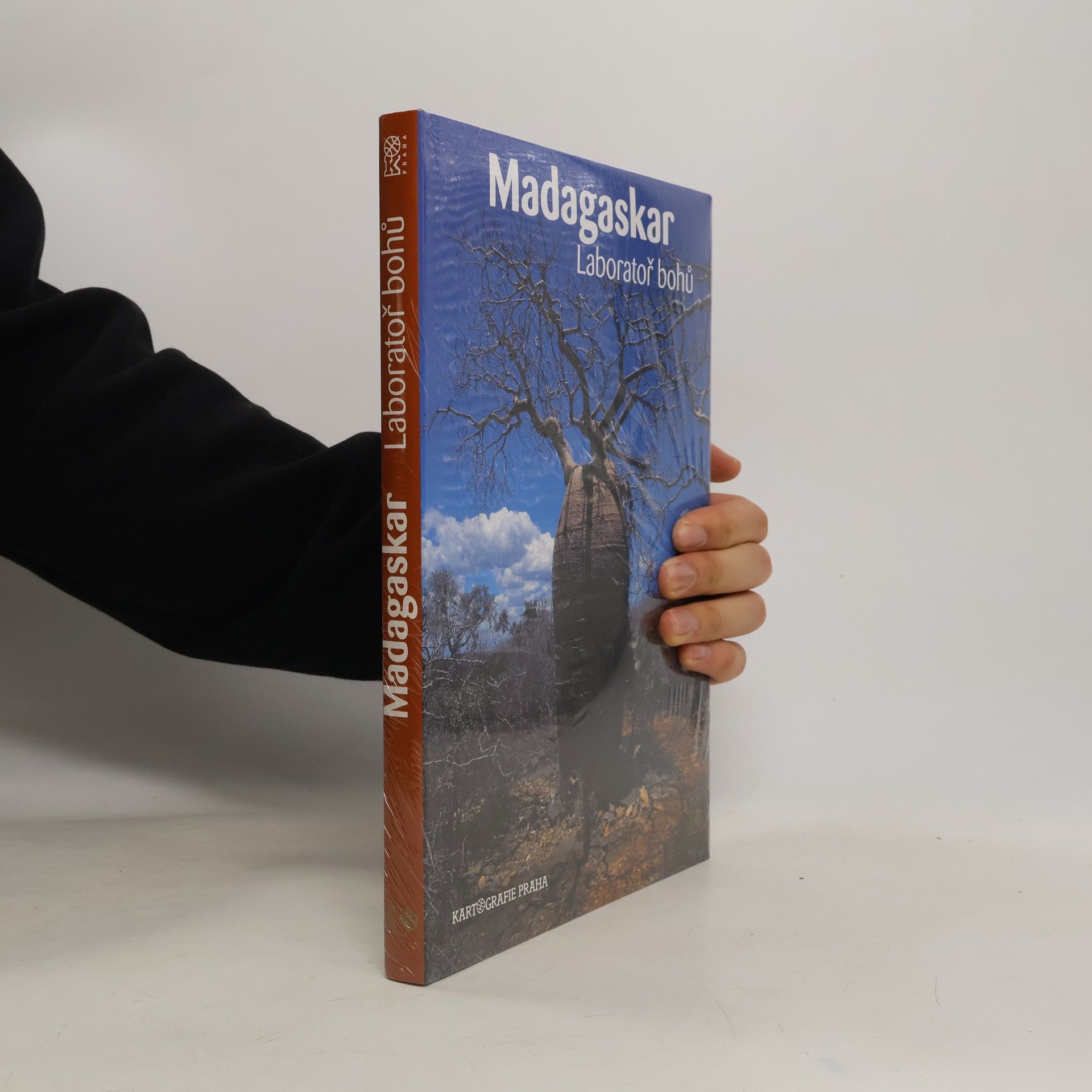 Růžena BeandapaKytlová Madagaskar : laboratoř bohů