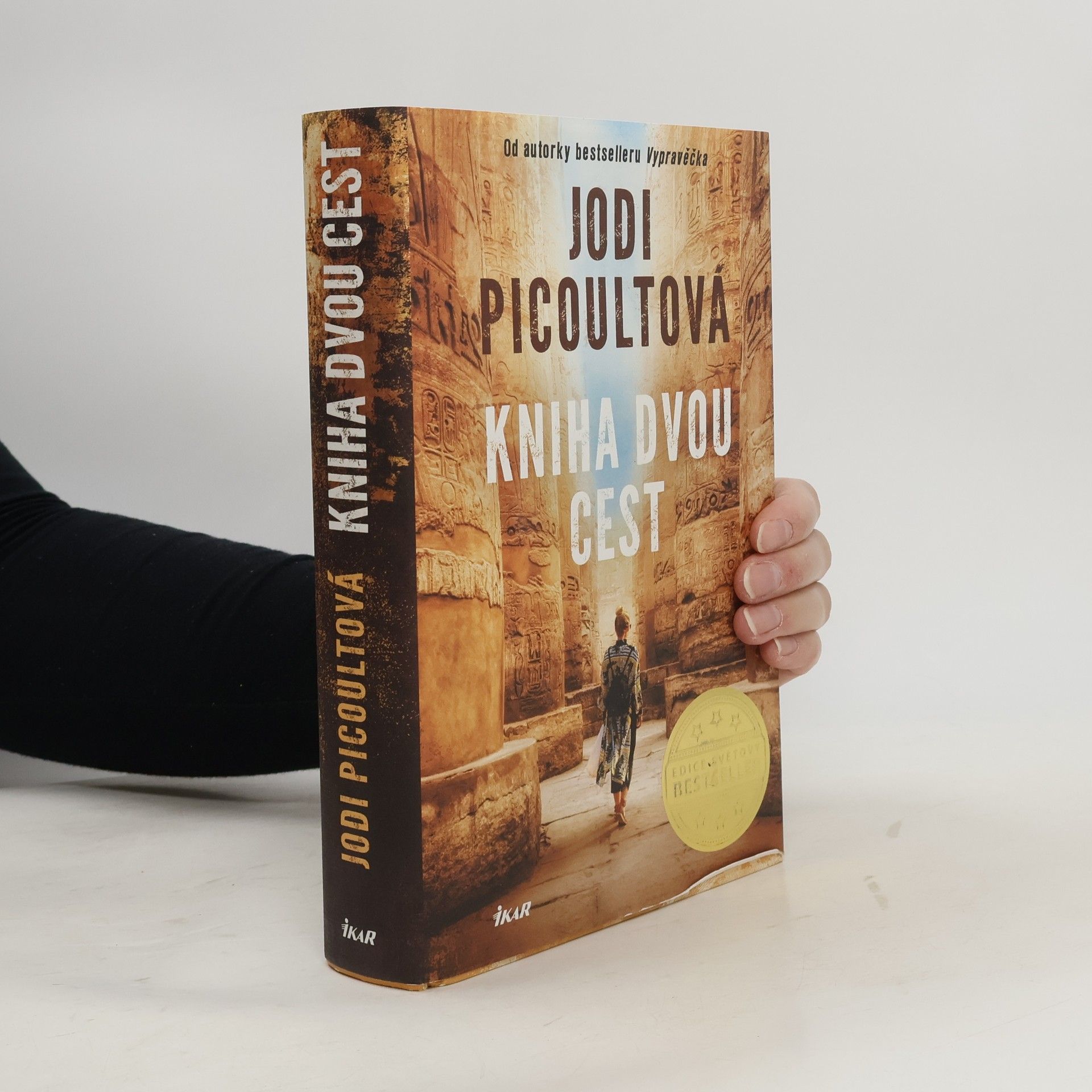 Jodi Picoult Kniha dvou cest