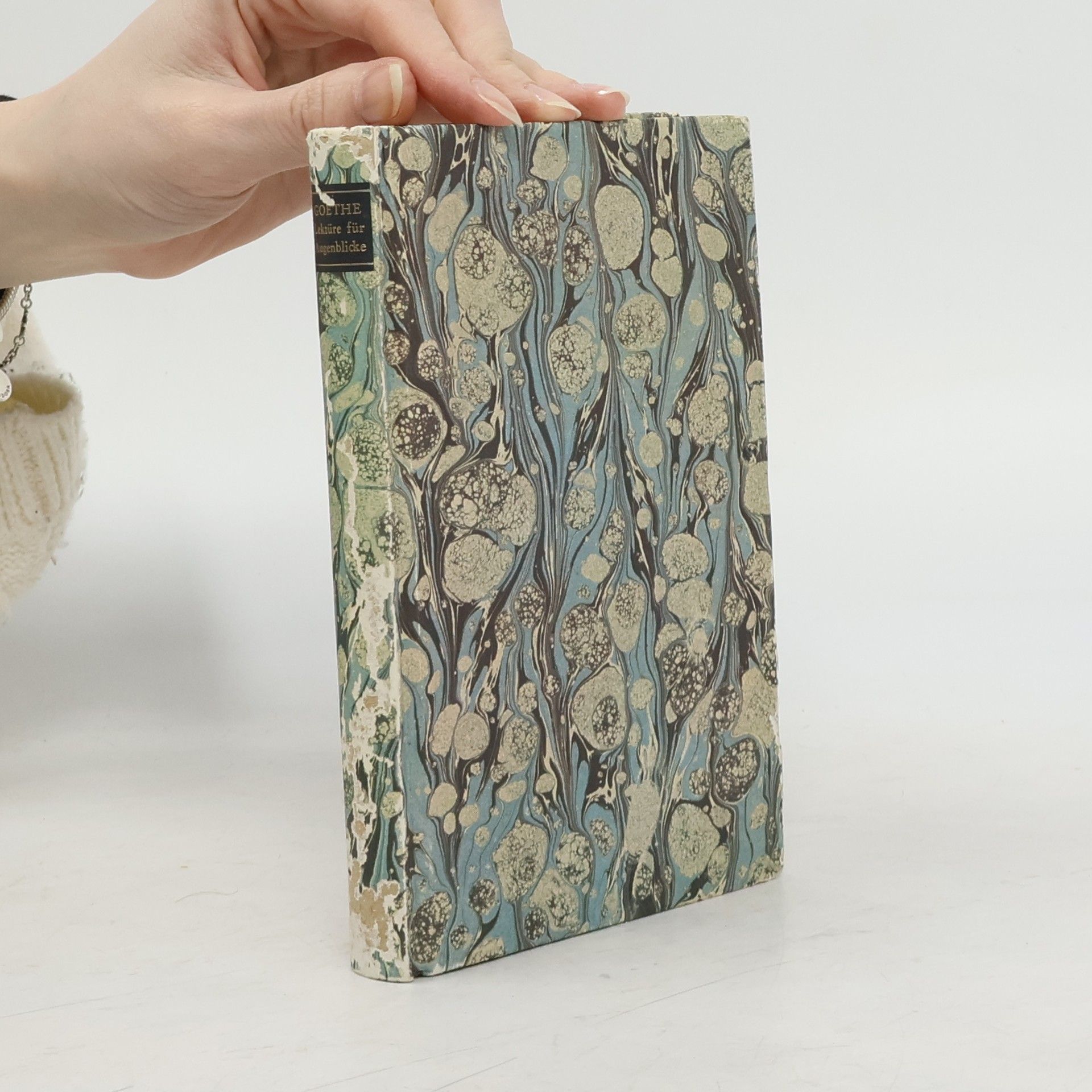 Johann Wolfgang von Goethe Lektüre für Augenblicke