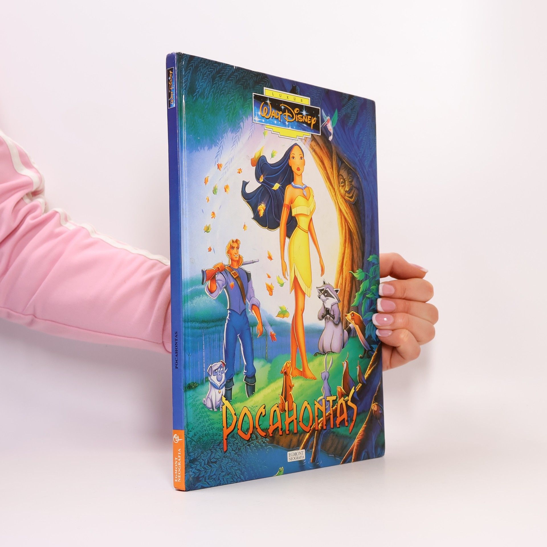 Walt Disney Pocahontas