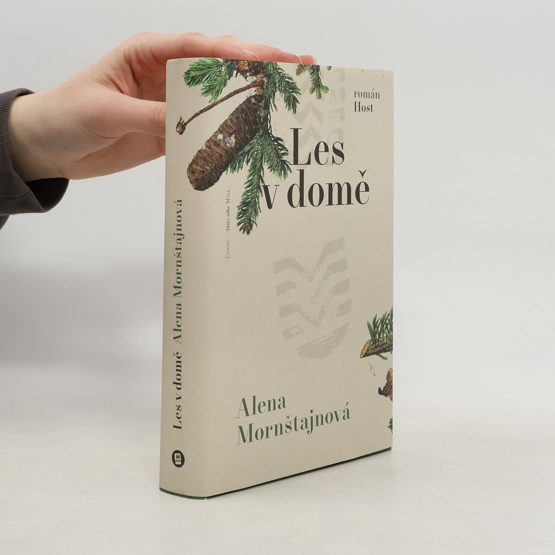 Alena Mornštajnová Les v domě
