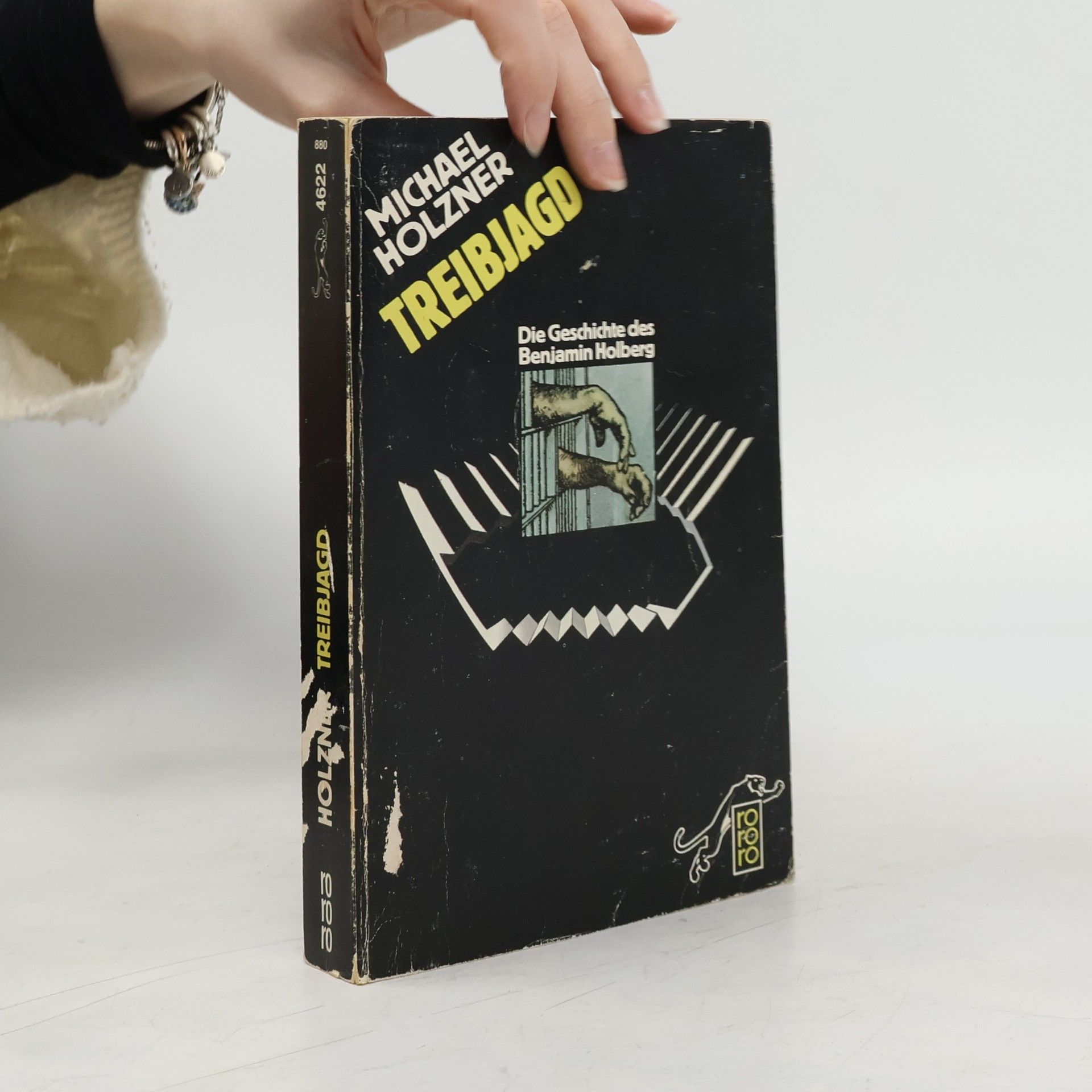 Michael Holzner Treibjagd. Die Geschichte des Benjamin Holberg.