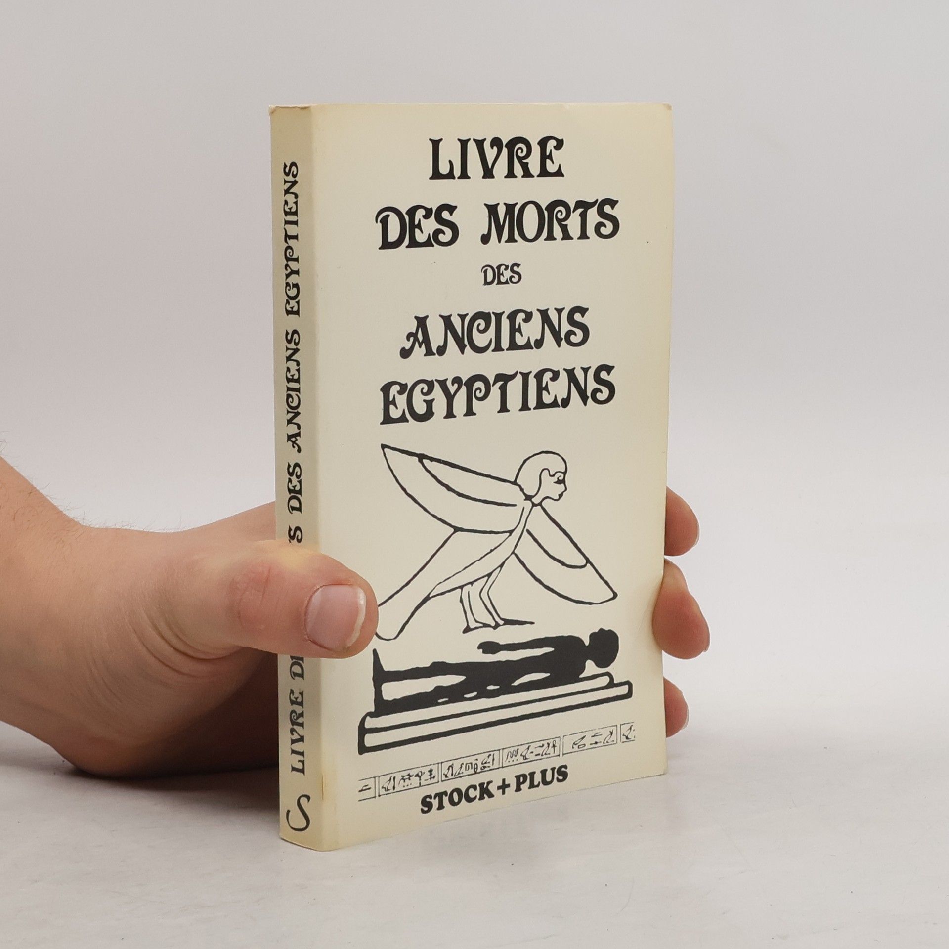 Kolektiv autorů Livre des Morts des Ancens Egyptiens