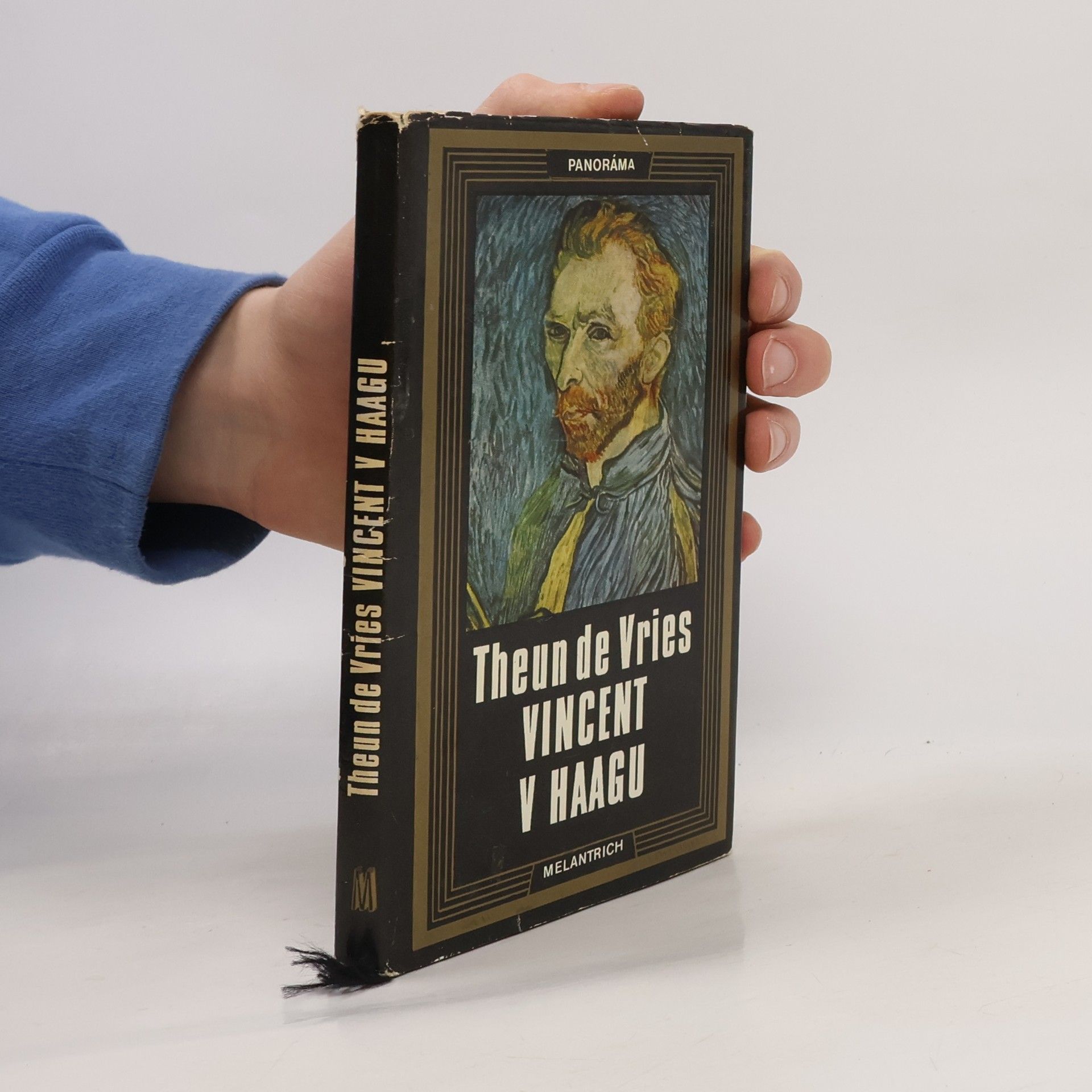 Theun de Vries Vincent v Haagu