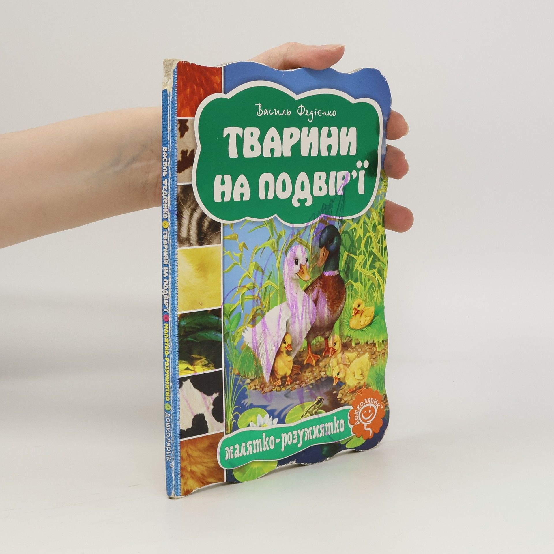 Vasyl Fedijenko Тварини на подвір'ї